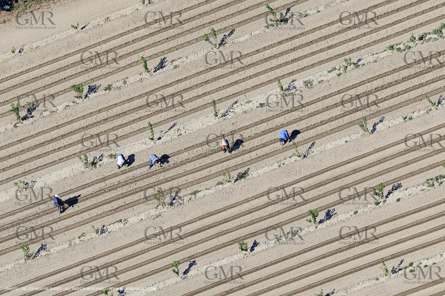 Payages des Costières (30)