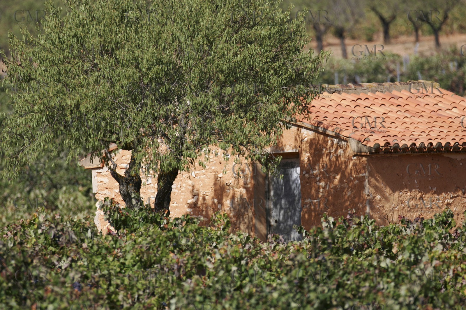 Arrière pays de Valencia