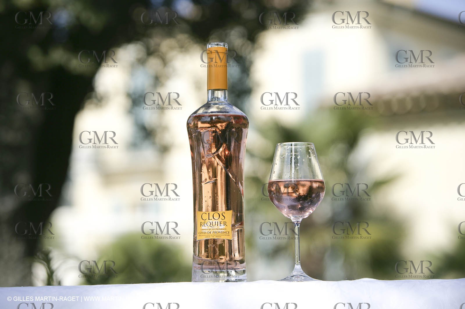 28 02 2008 - Cabasse (FRA, 83) - Domaine du Lac vines