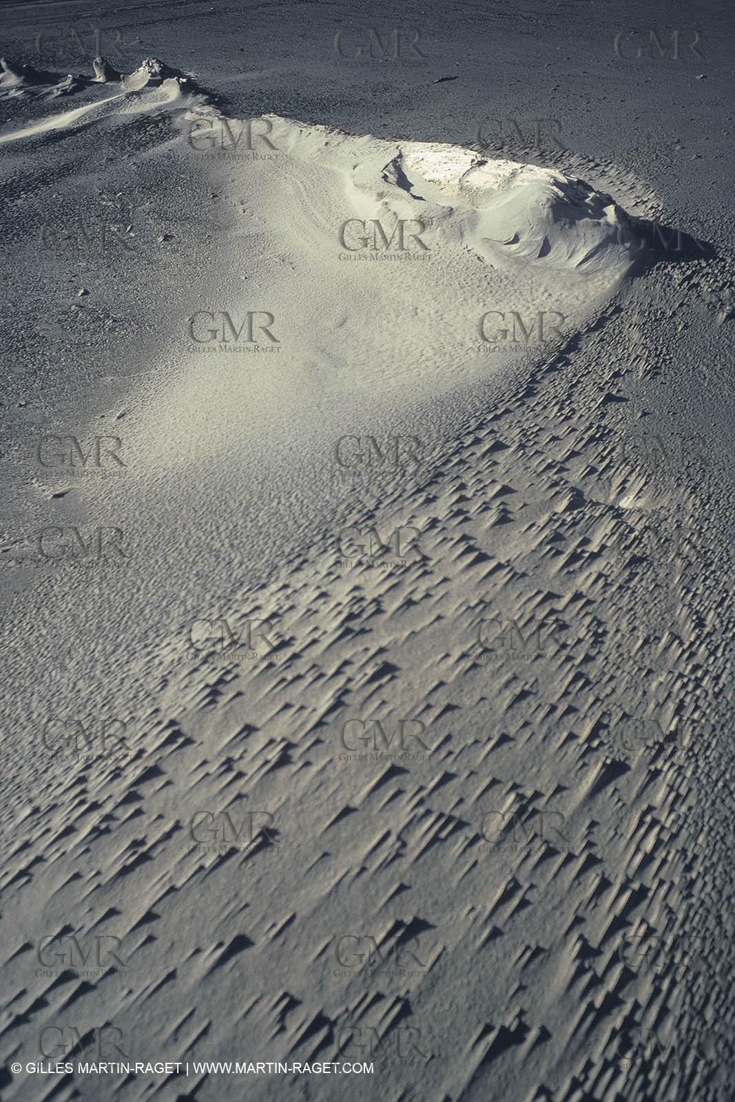 France, Provence, Camargue wildlife and landscapes