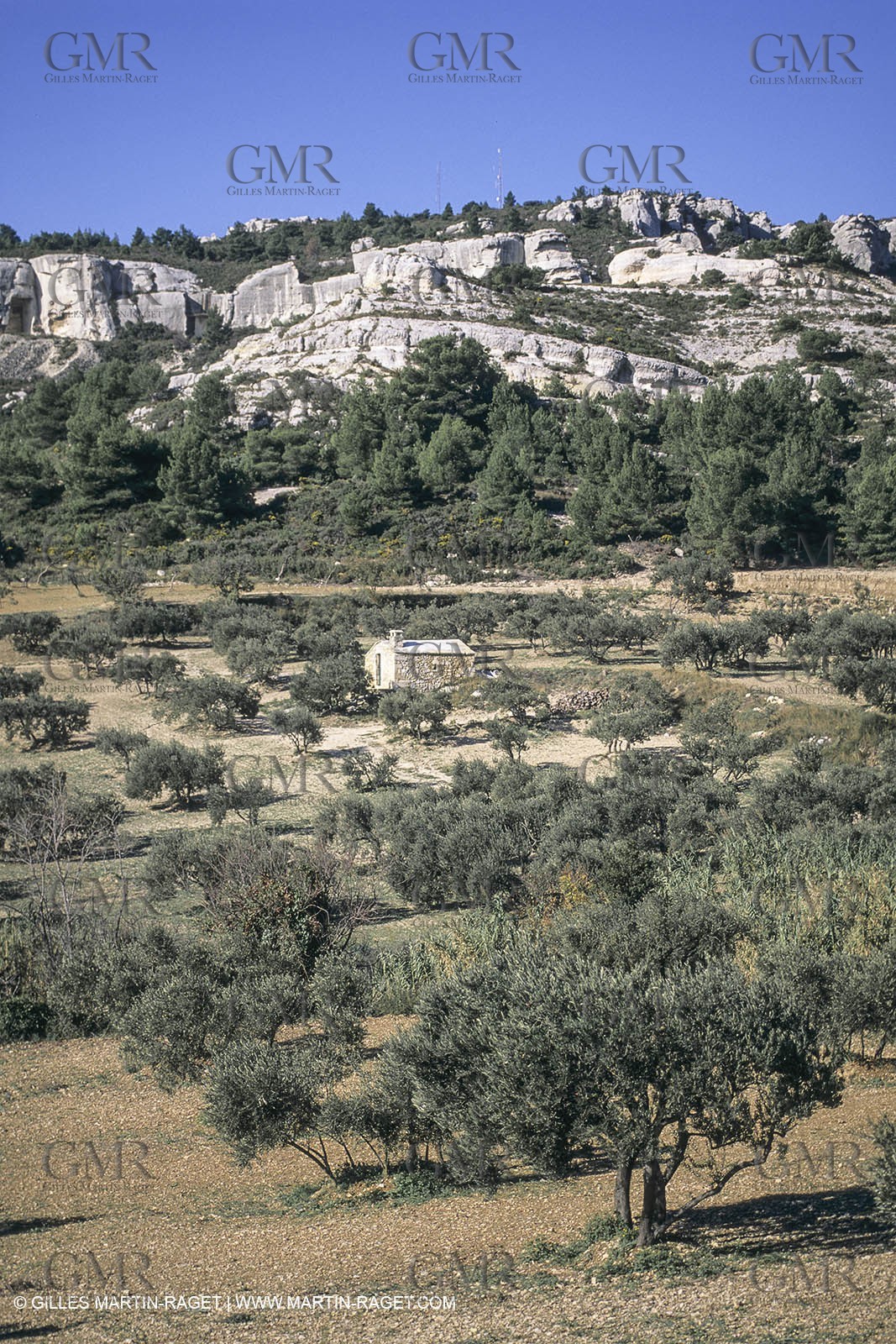 France, Provence, Les Alpilles, Les Baux de Provence