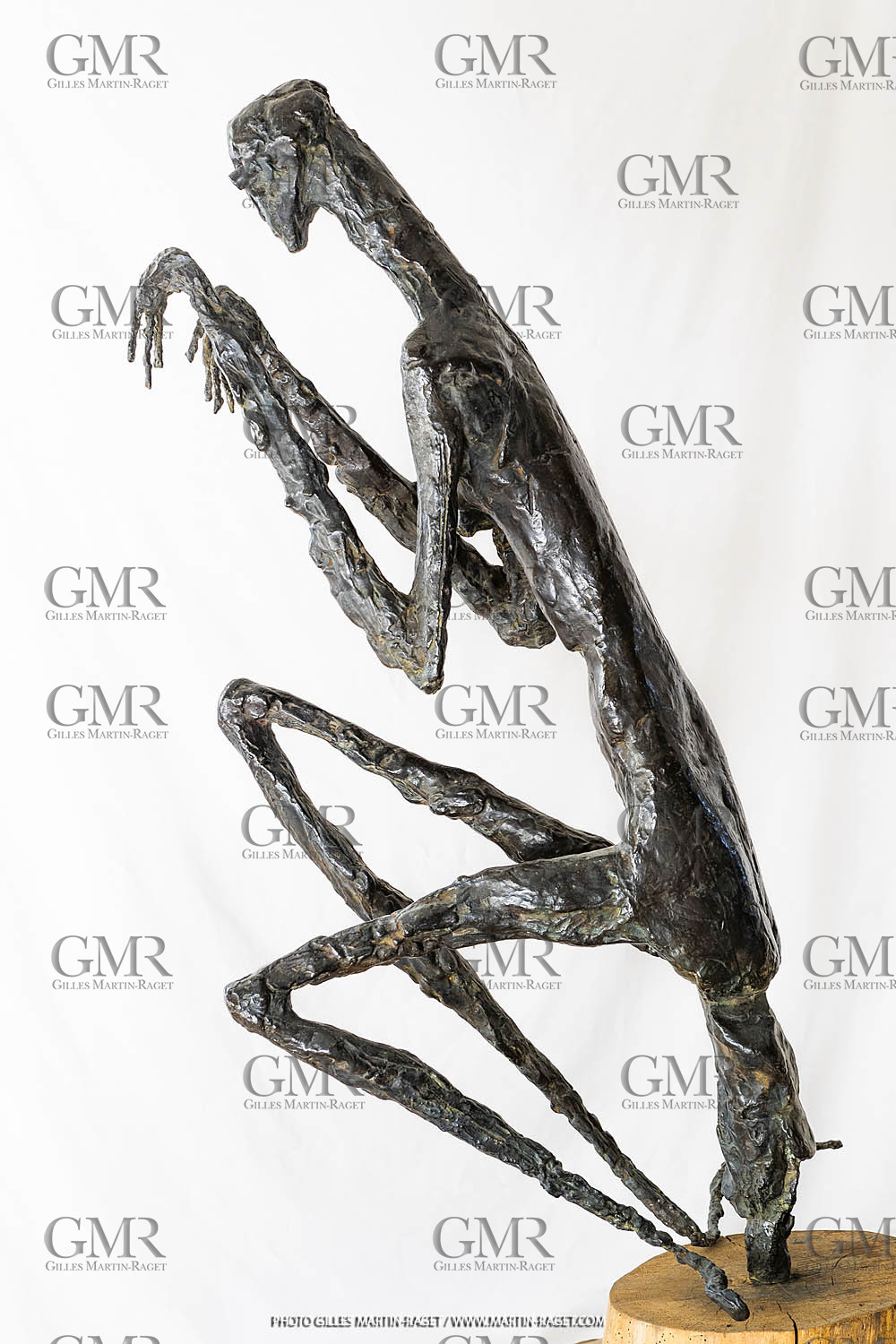 12 07 2020, Oeuvre Germaine Richier, La Mante Grande, 1946, épreuve d'exposition