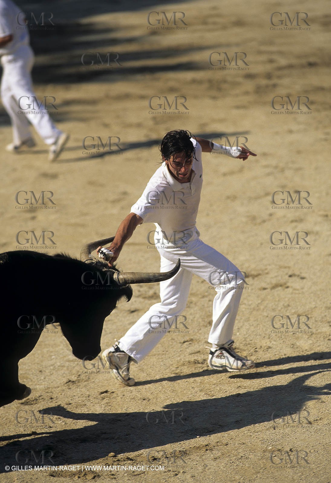 Gard, (FRA,30) - Camargue bull game