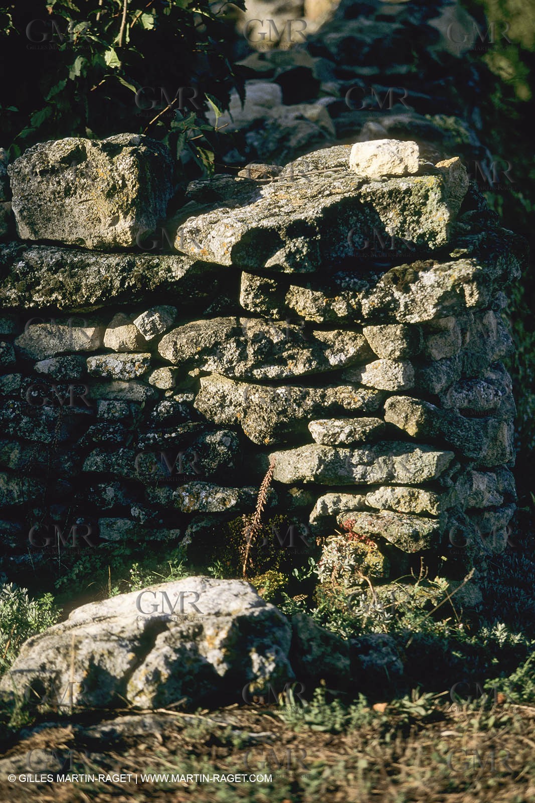France, Provence, Mas, maison, propriétés, Vansorgues