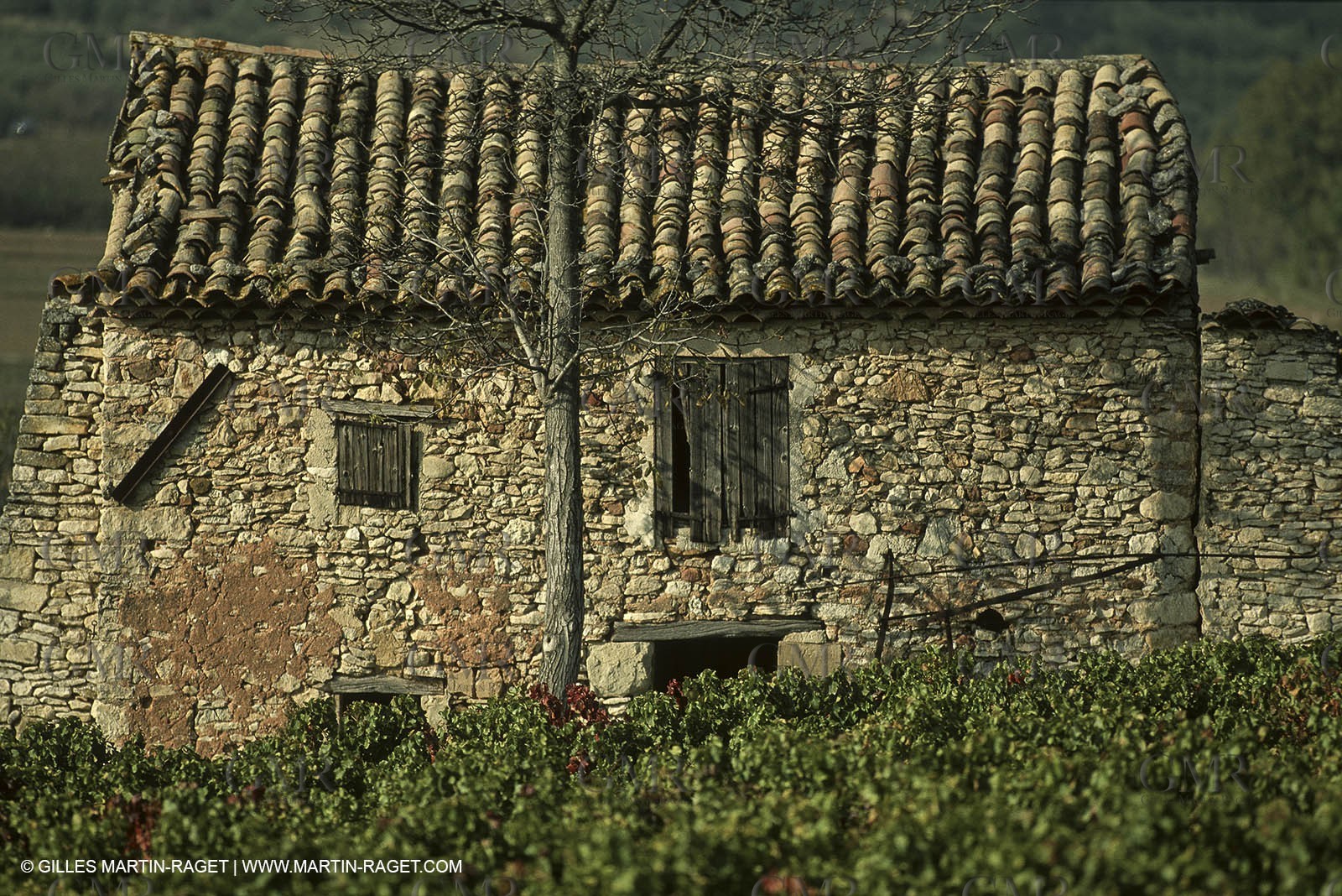 Luberon (FRA,84), Couleurs d'automne