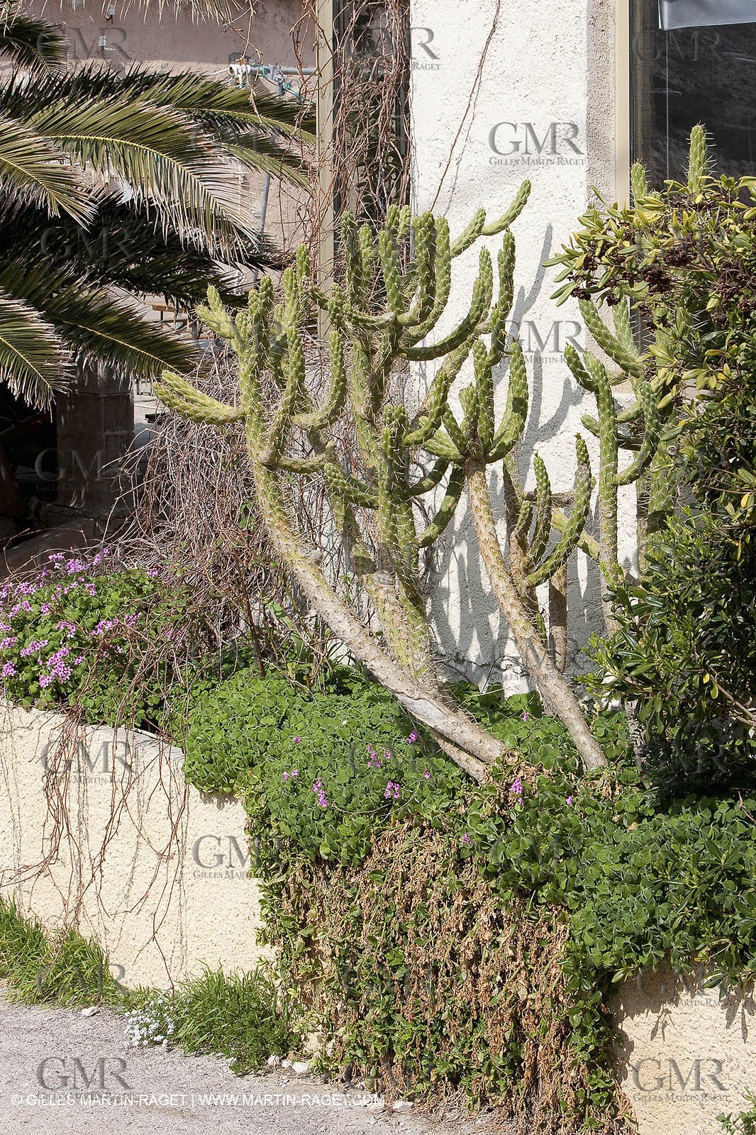 19 03 2009 - Marseille (FRA, 13) - Calanques - Callelongue