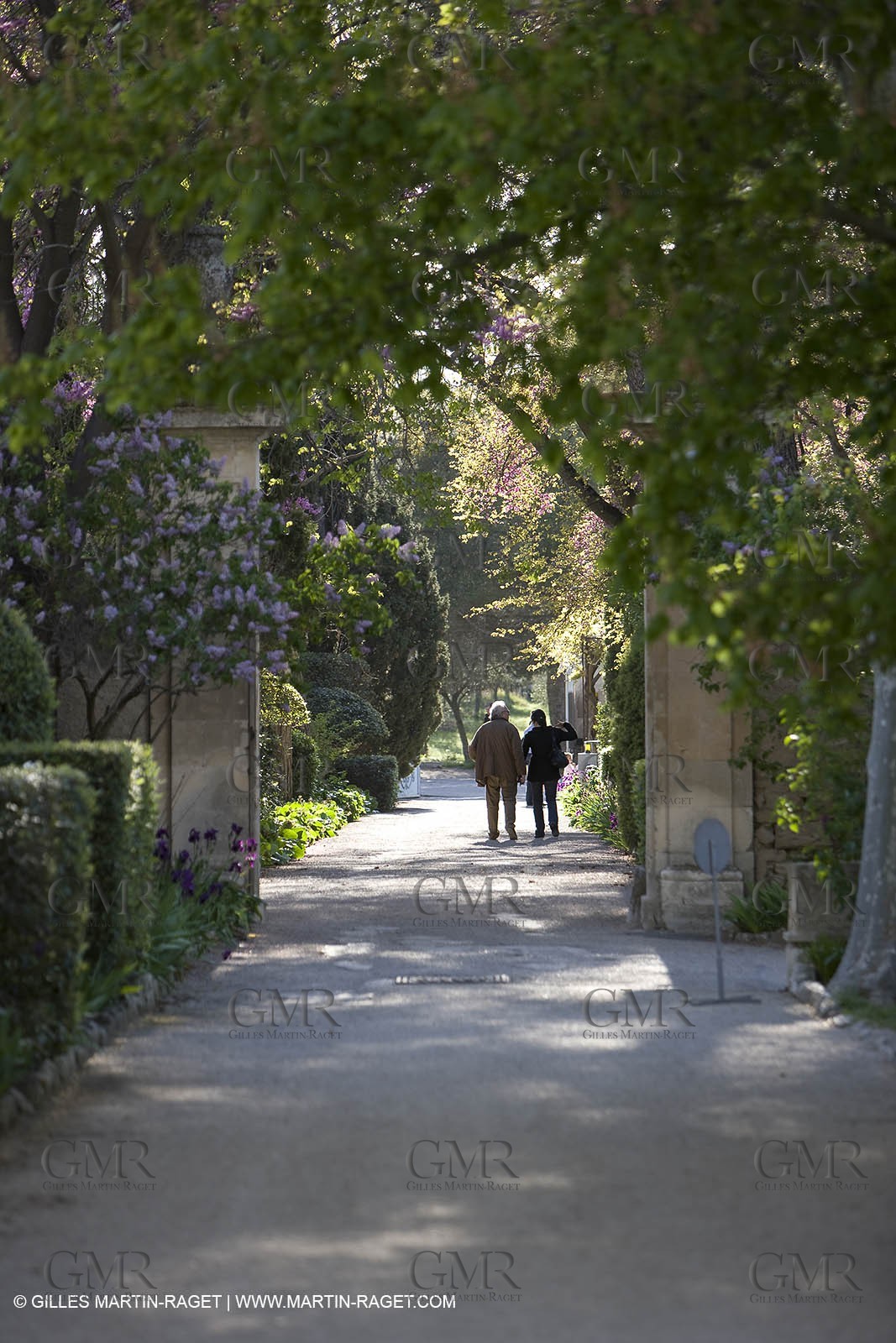 12 04 2008 - Saint Rémy de Provence - (FRA, 13) - Vincent Van Gogh south - Saint Paul de Mausole