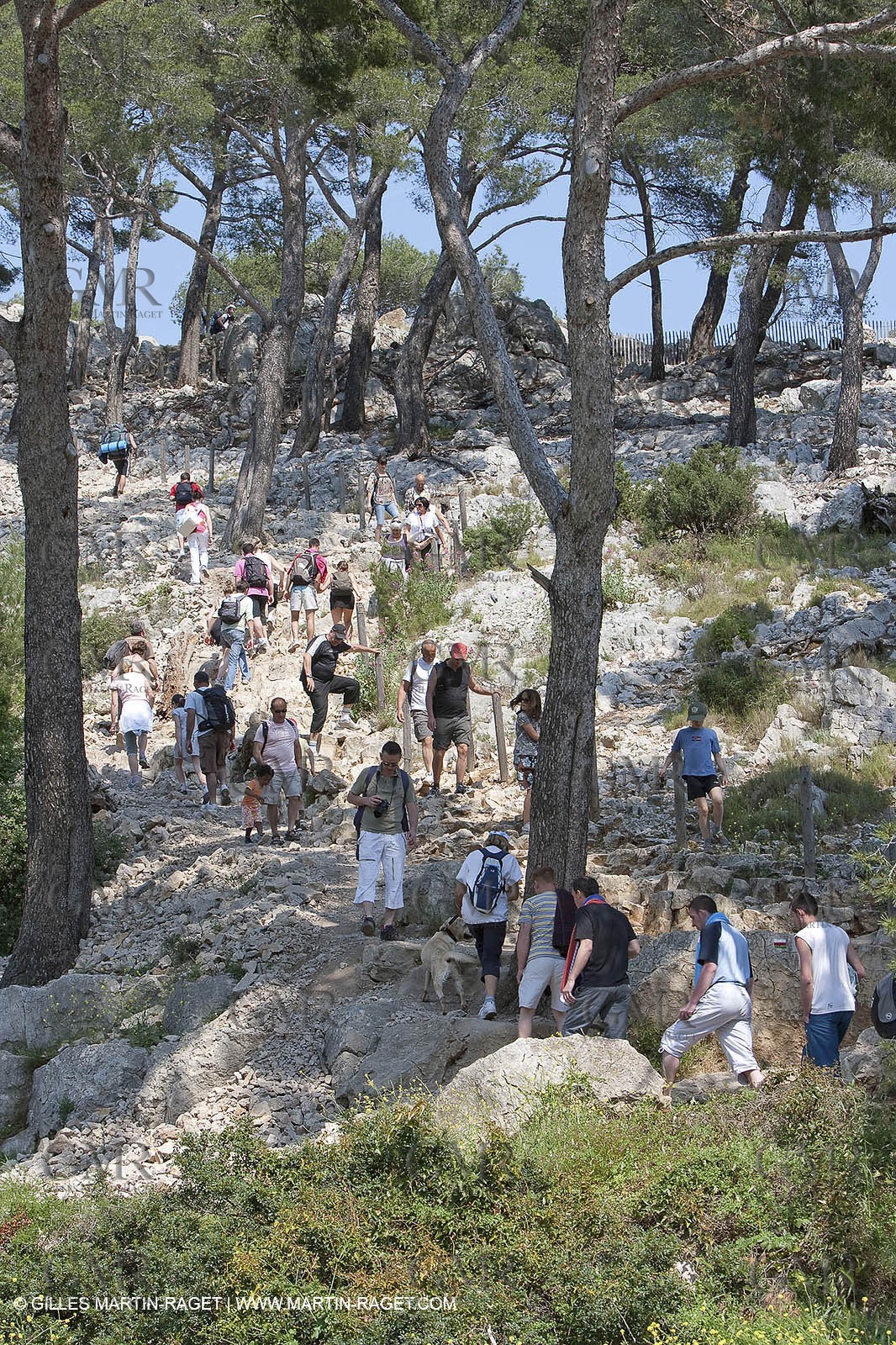 03 05 2009 - Marseille (FRA, 13) - Les Calanques - Port Pin