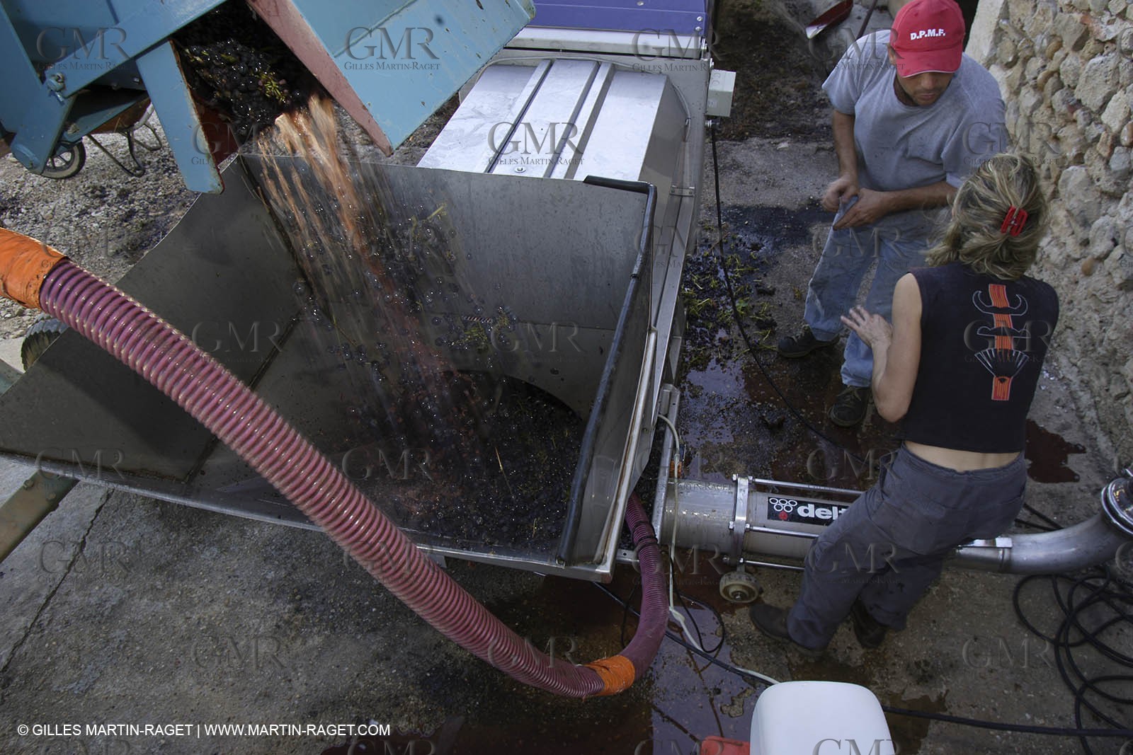 Harvest - D'or et de Gueule castle