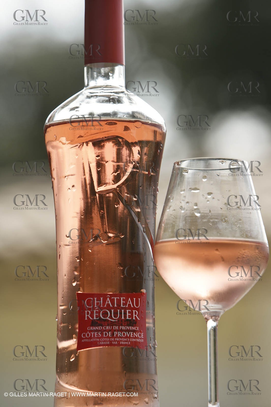 28 02 2008 - Cabasse (FRA, 83) - Domaine du Lac vines