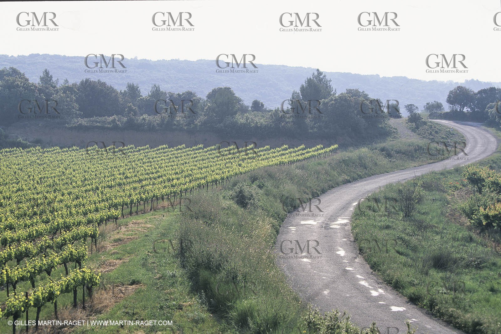 France, Languedoc Roussillon, Costières de Nîmes
