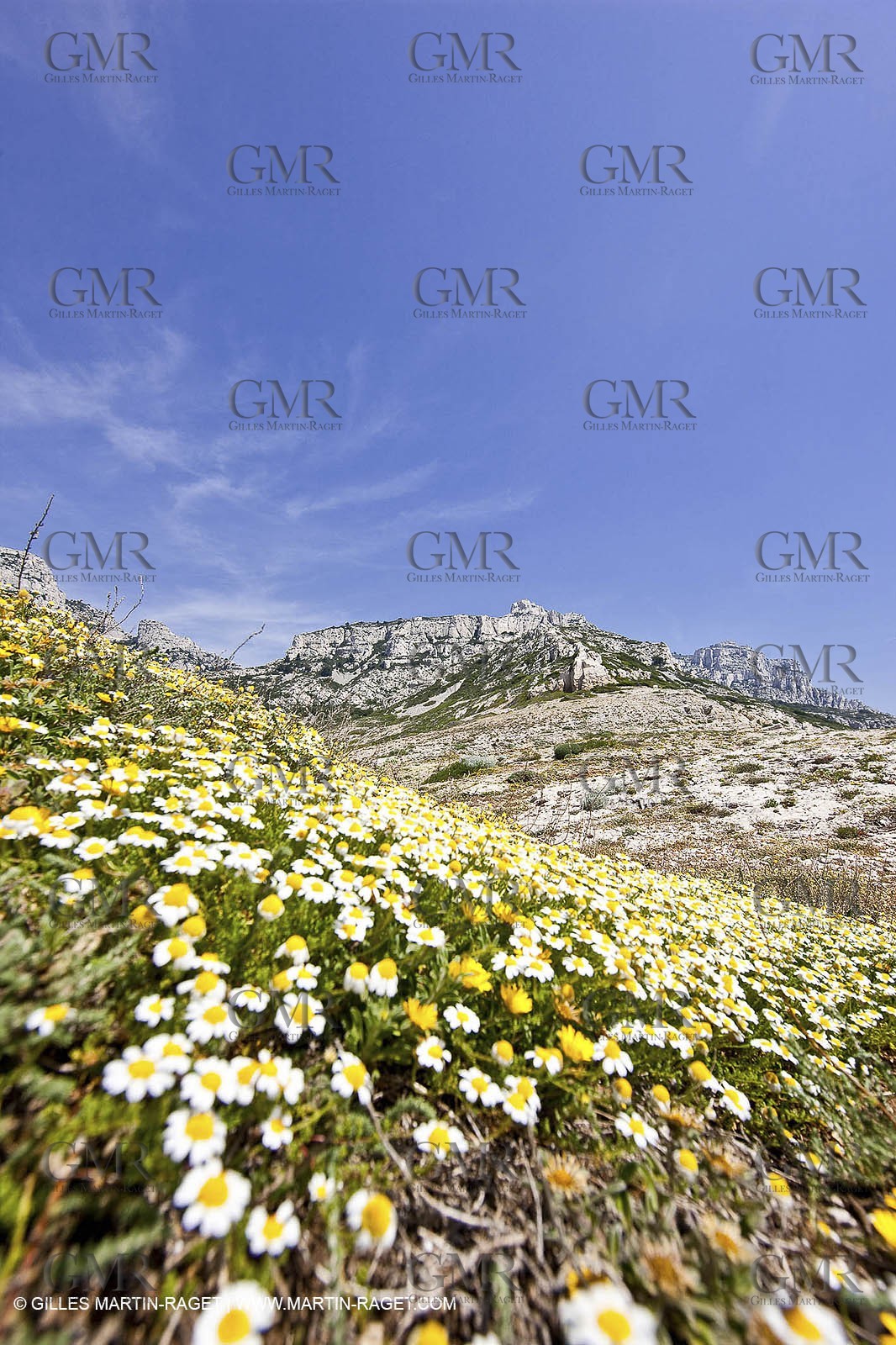 20 05 2009 - Marseille (FRA, 13) - Les Calanques - Calanque de Marseilleveyre