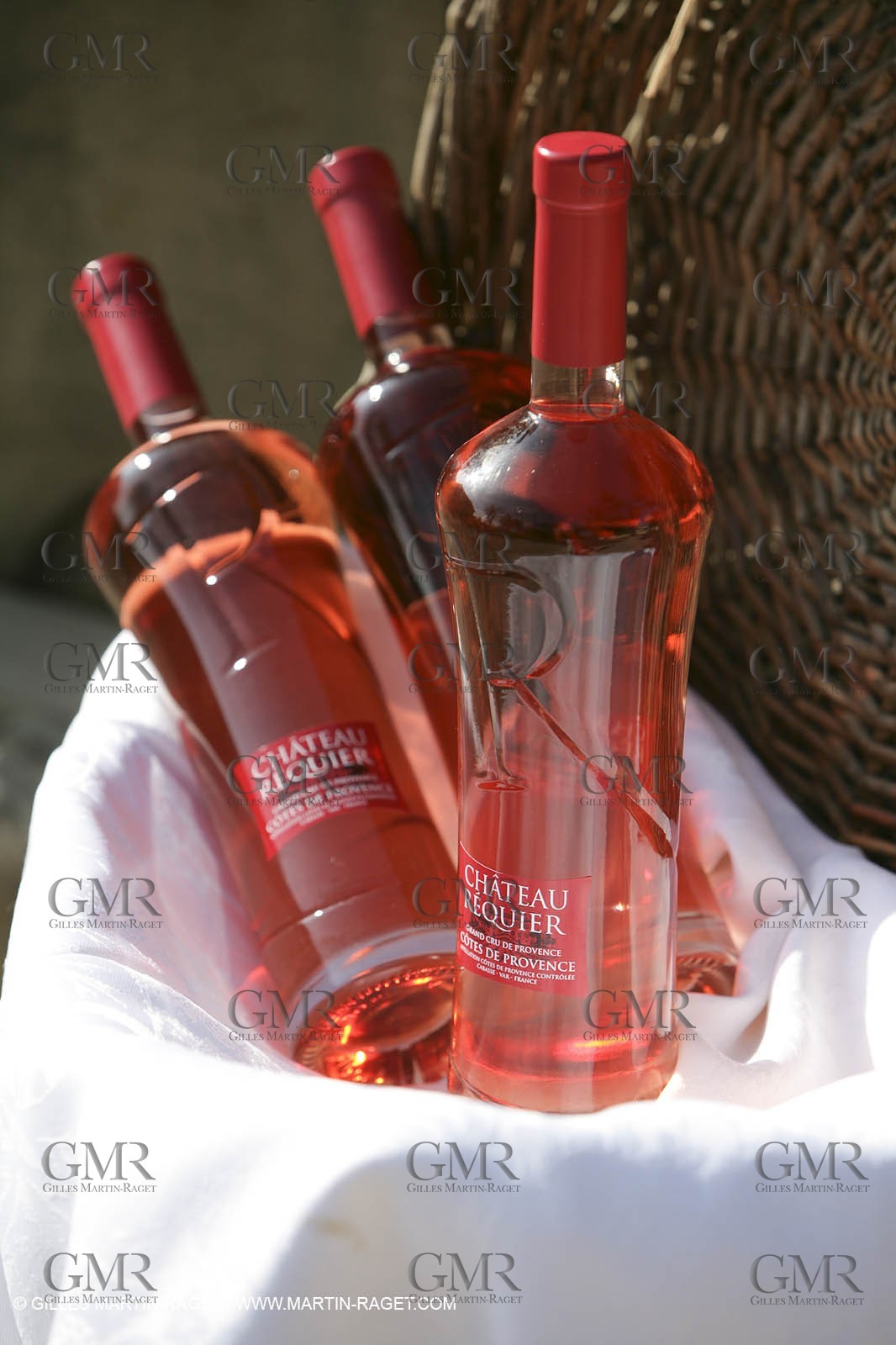 28 02 2008 - Cabasse (FRA, 83) - Domaine du Lac vines