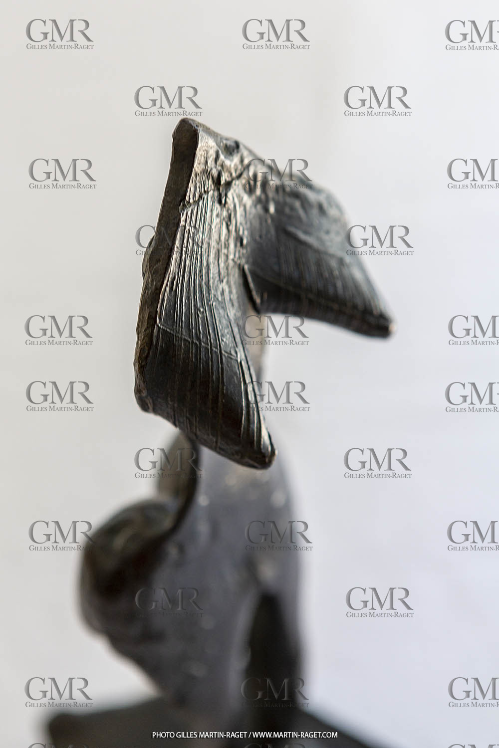 12 07 2020, St Rémy de Provence (FRA, 13) Oeuvre Germaine Richier, Femme Sein, 1955, EA