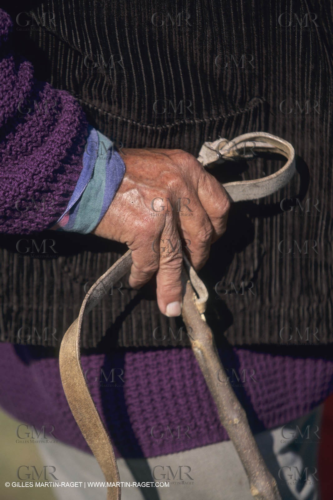 France, Provence, Moutons, bergers, élevage, transhumance