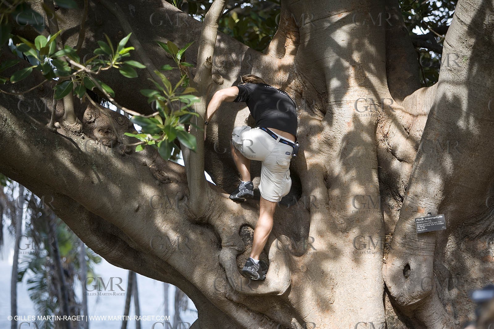 Sydney, Australia, Thomas Coville trimaran Sodebo building at Boat Speed