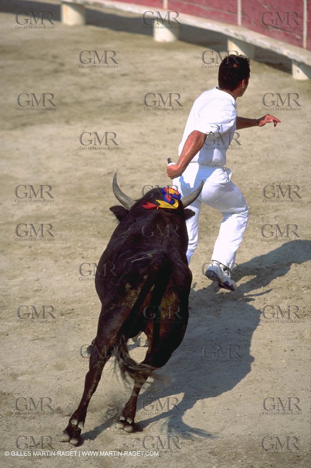 Courses libres