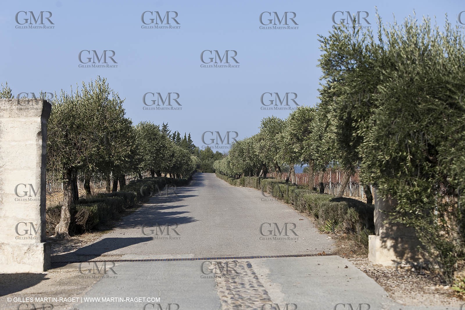 Saint Drézéry (FRA, 34), Domaine de Puech Haut