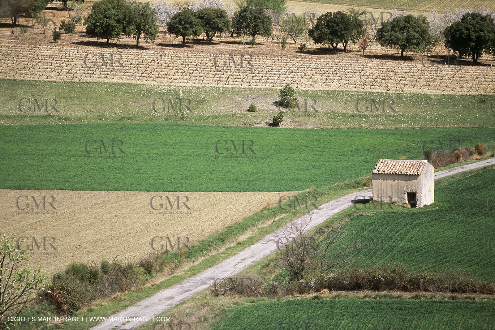 Luberon in winter near Saint Satrunin les Apt (FRA,84)