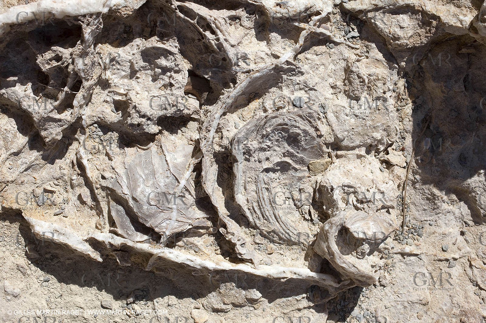 27 03 2009 - Marseille (FRA, 13) - Les Calanques - Morgiou