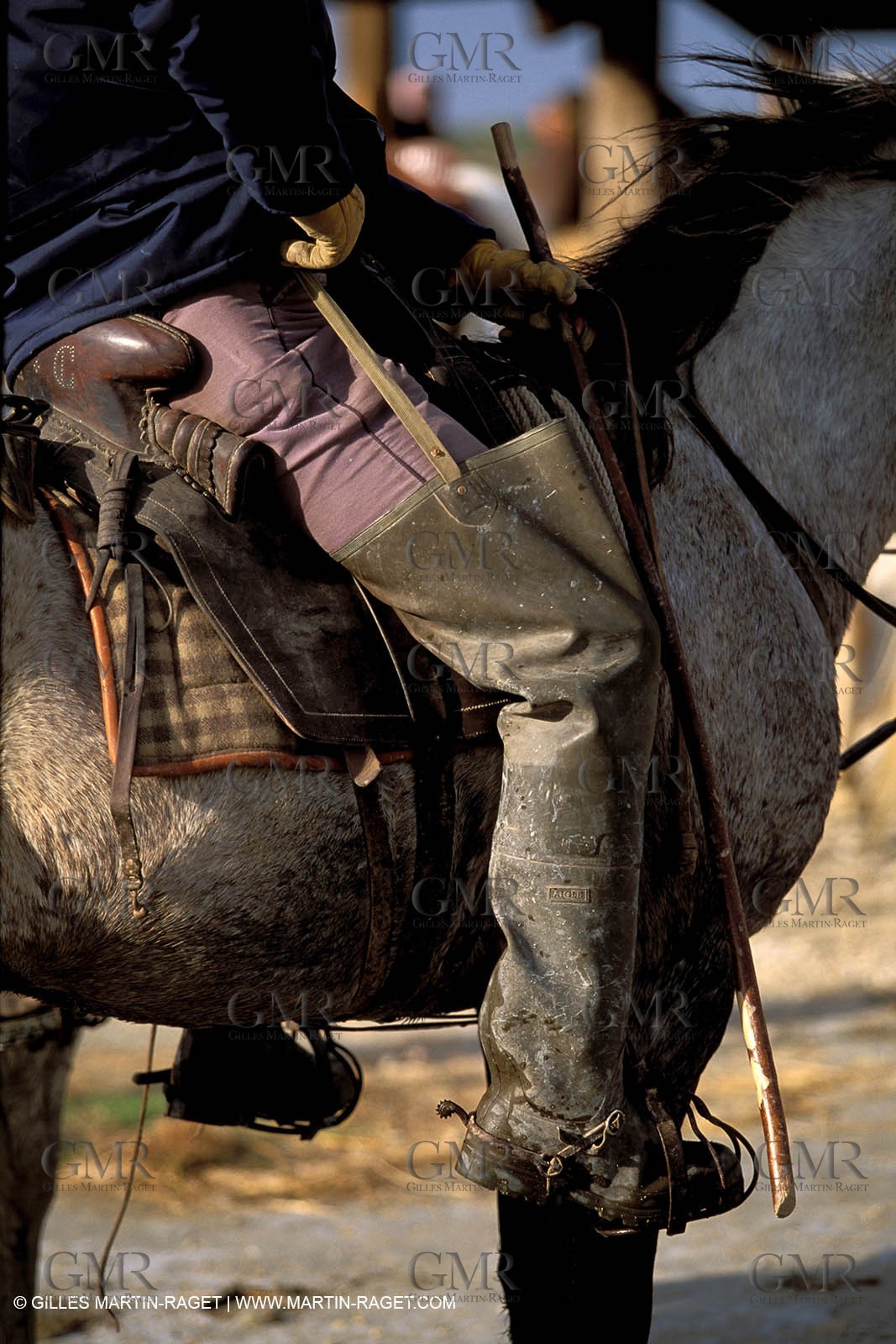 Arles - Camargue gardians (cow boys) at work