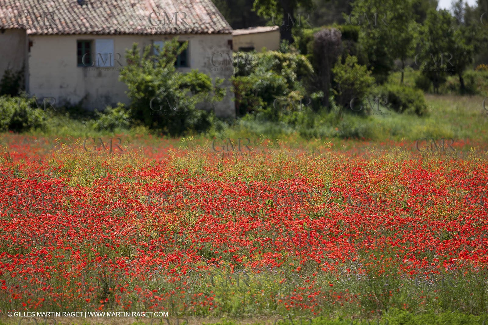 09 06 2012 - Pays d'Aix en Provence (FRA,13)