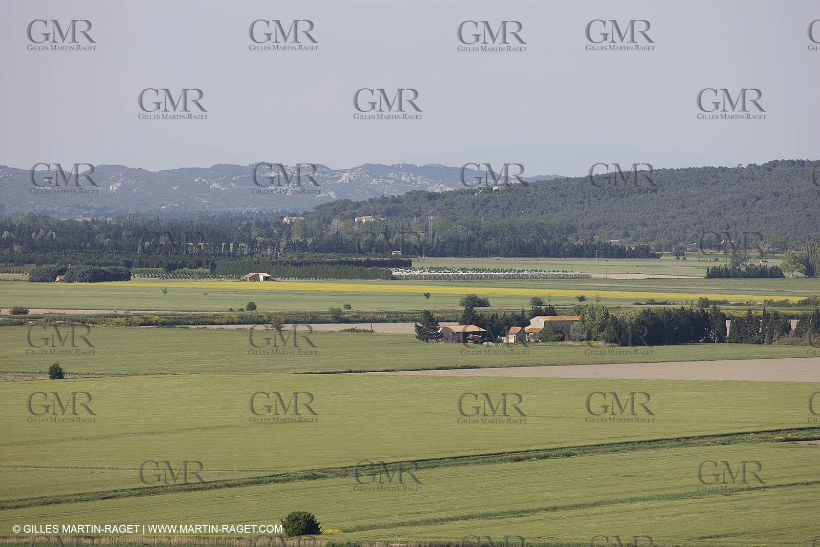 04 05 2008 - Arles (FRA,13)  - Montmajour Abbeye