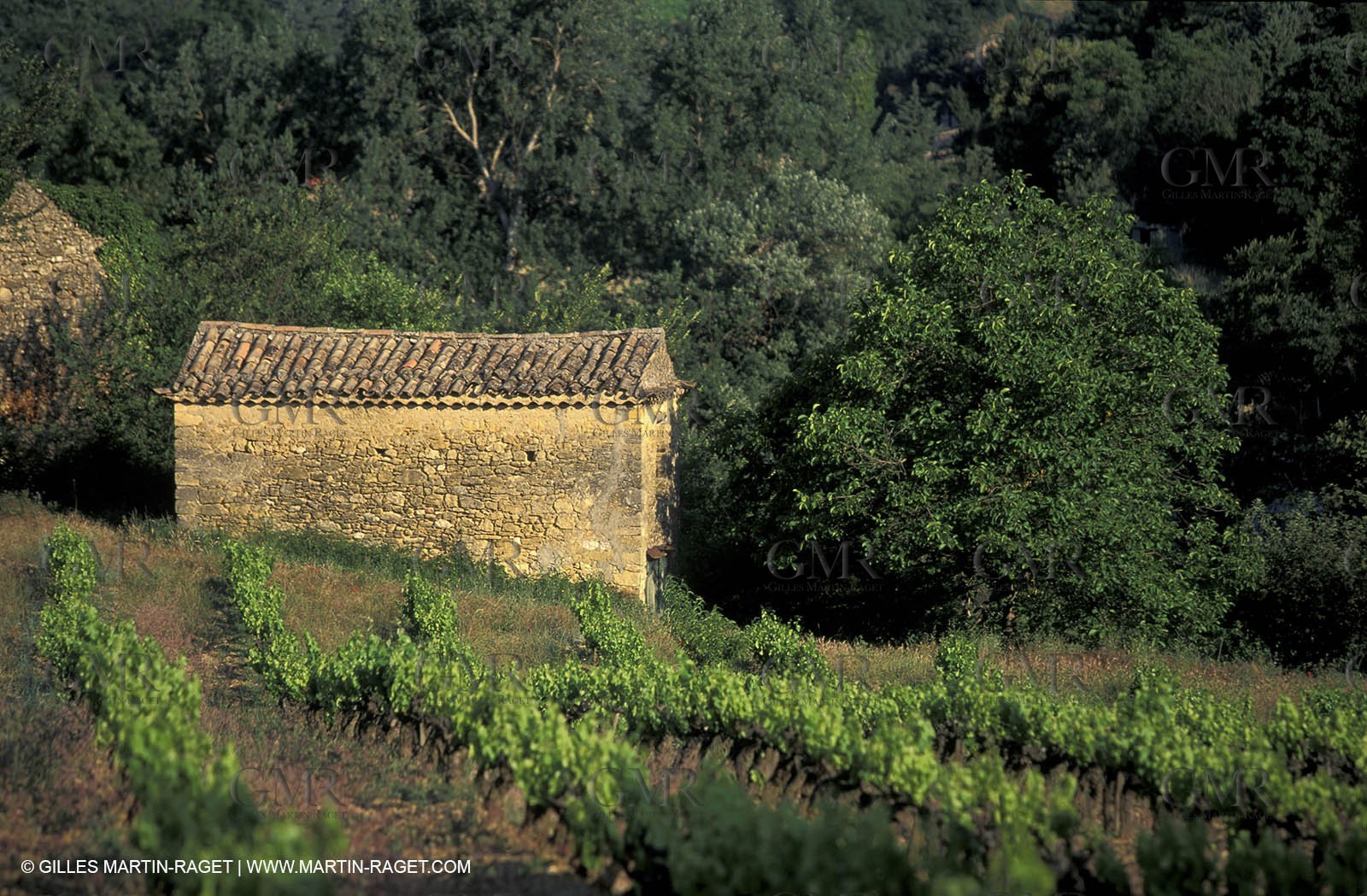 Around Aix en Provence