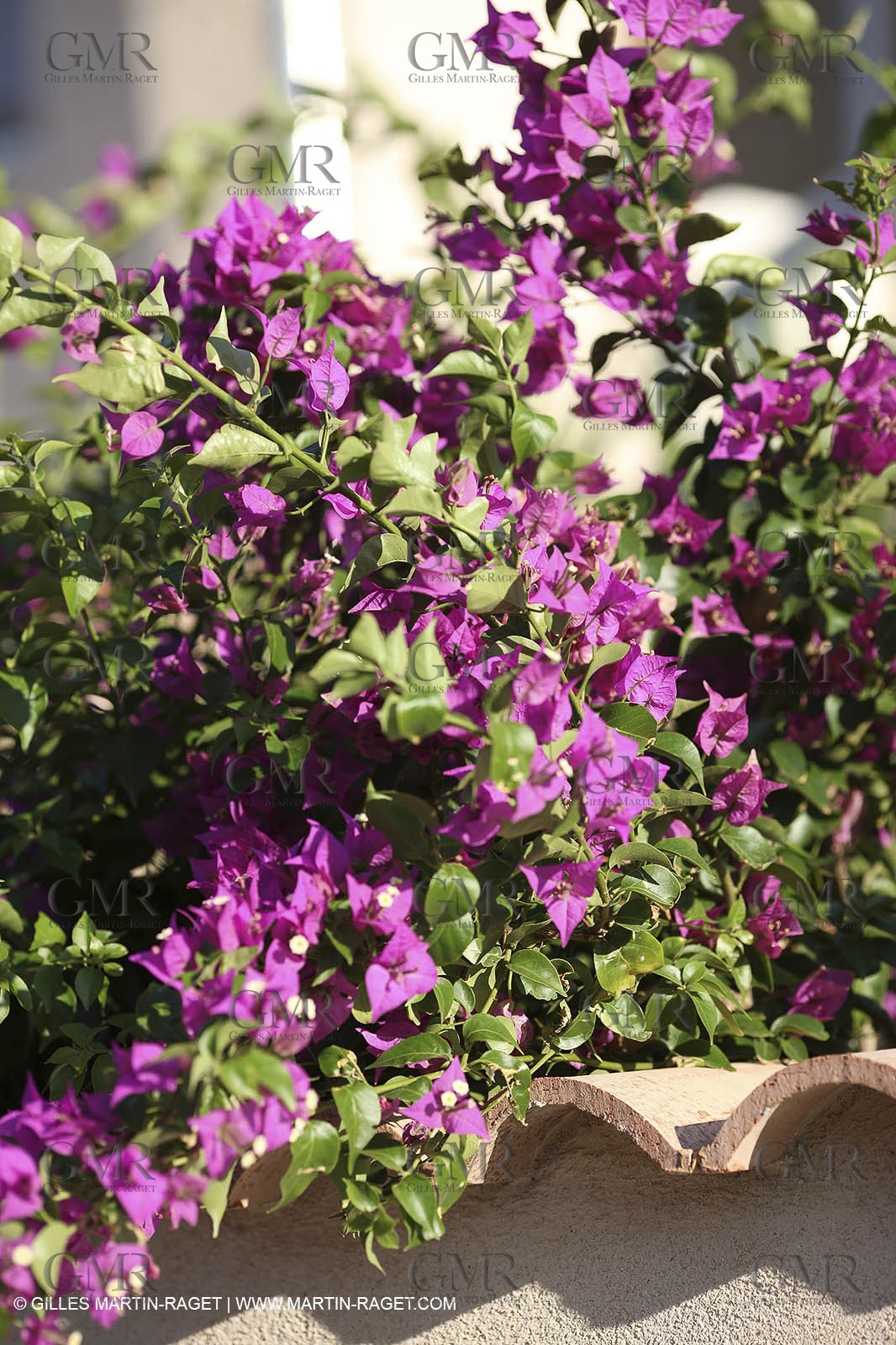 29 07 2009 - Marseille (FRA, 13) - Les Calanques