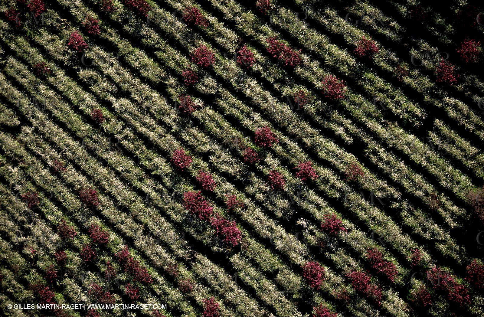 Aix en Provence surroundings