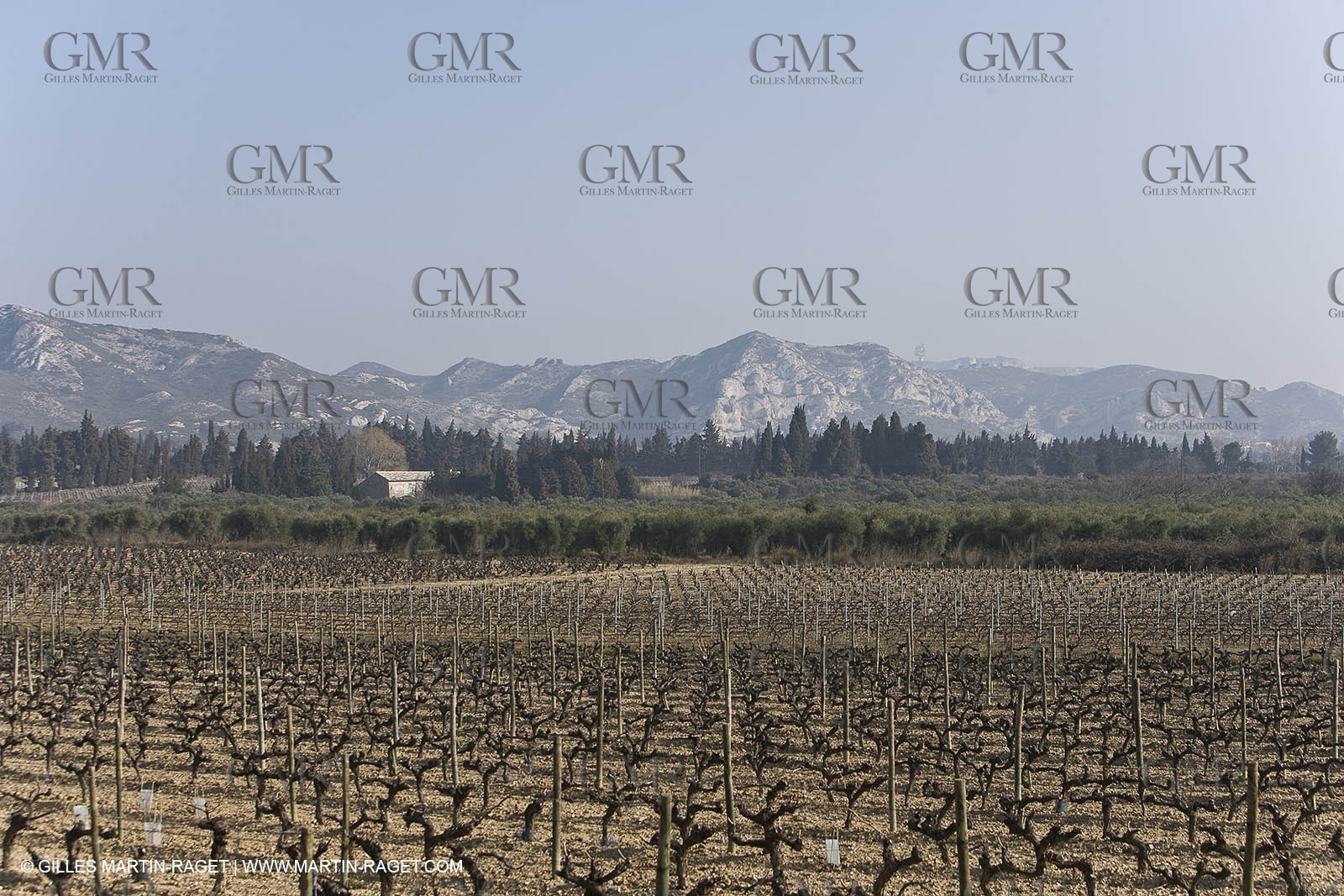 16 02 2008 - Les Baux de Provence (FRA, 13) - Alpilles hills landscapes