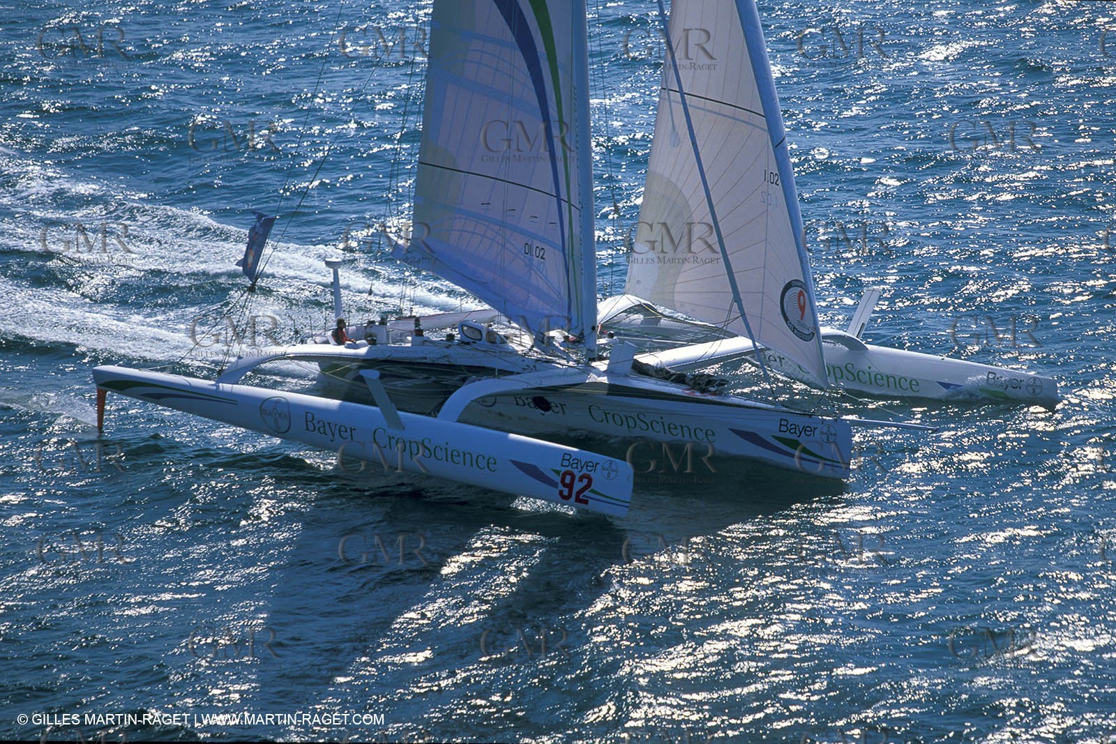 BayerHR003.jpg