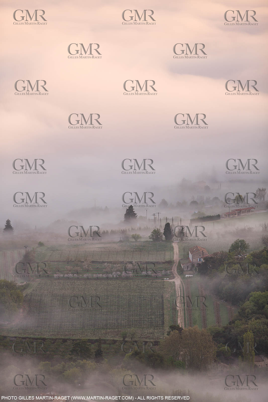 12 04 2016, Parc National du Luberon (FRA, 84)