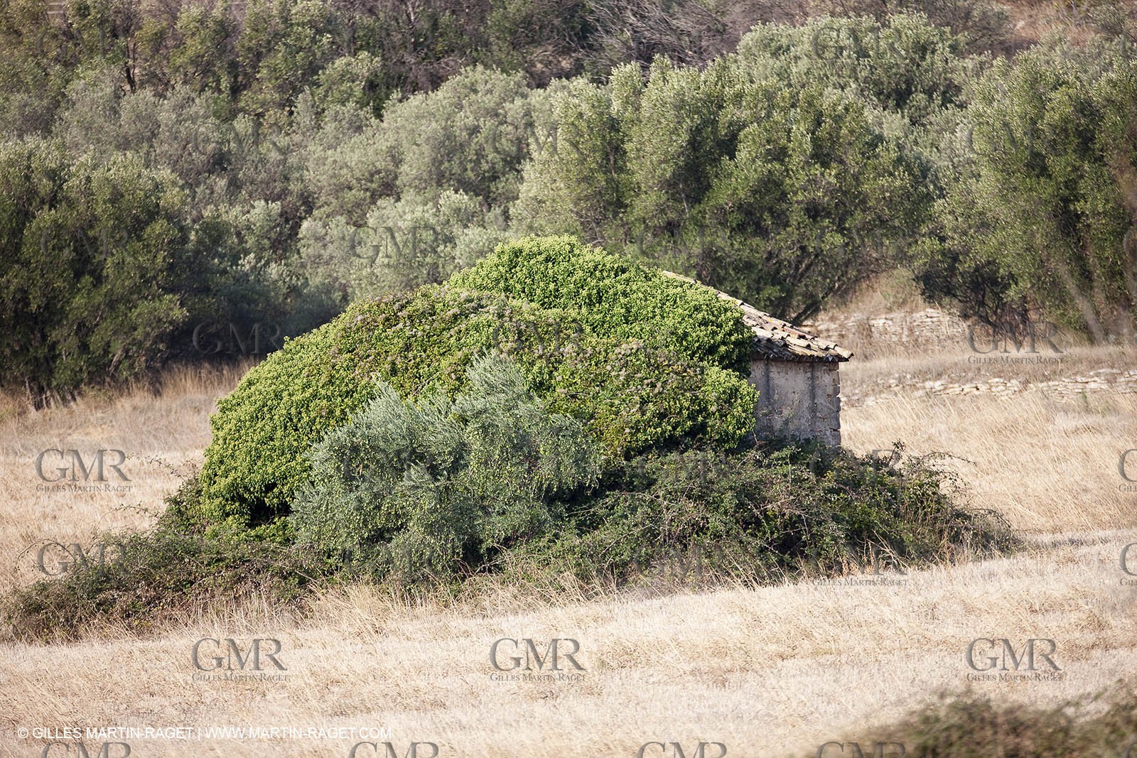 25 09 2009 - Sernhac (FRA,30)