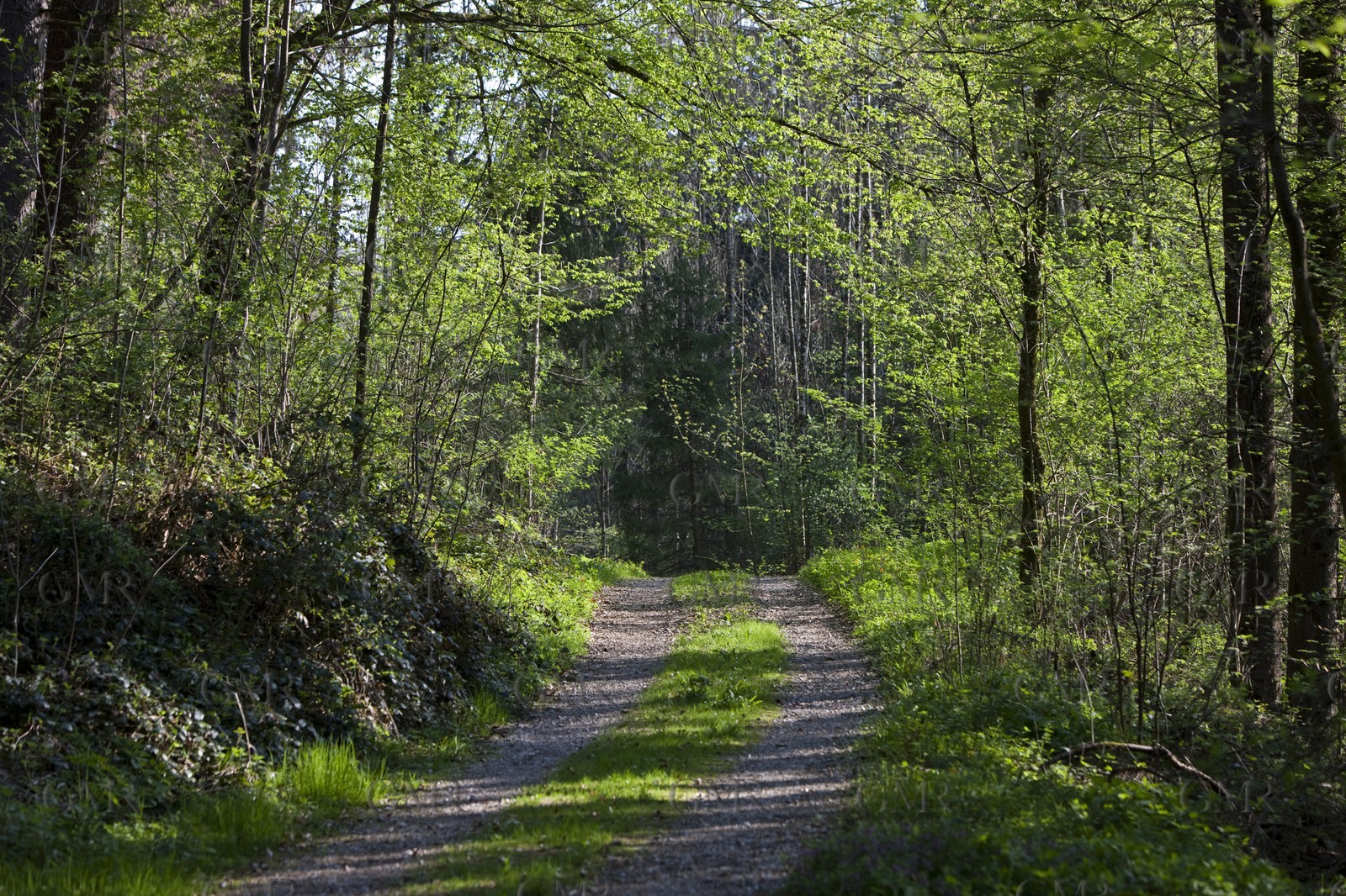 27 04 2010 - Gmunden (Lake Traunsee, Austria) - RC44 World Championship 2010 - BMW ORACLE Racing - Training