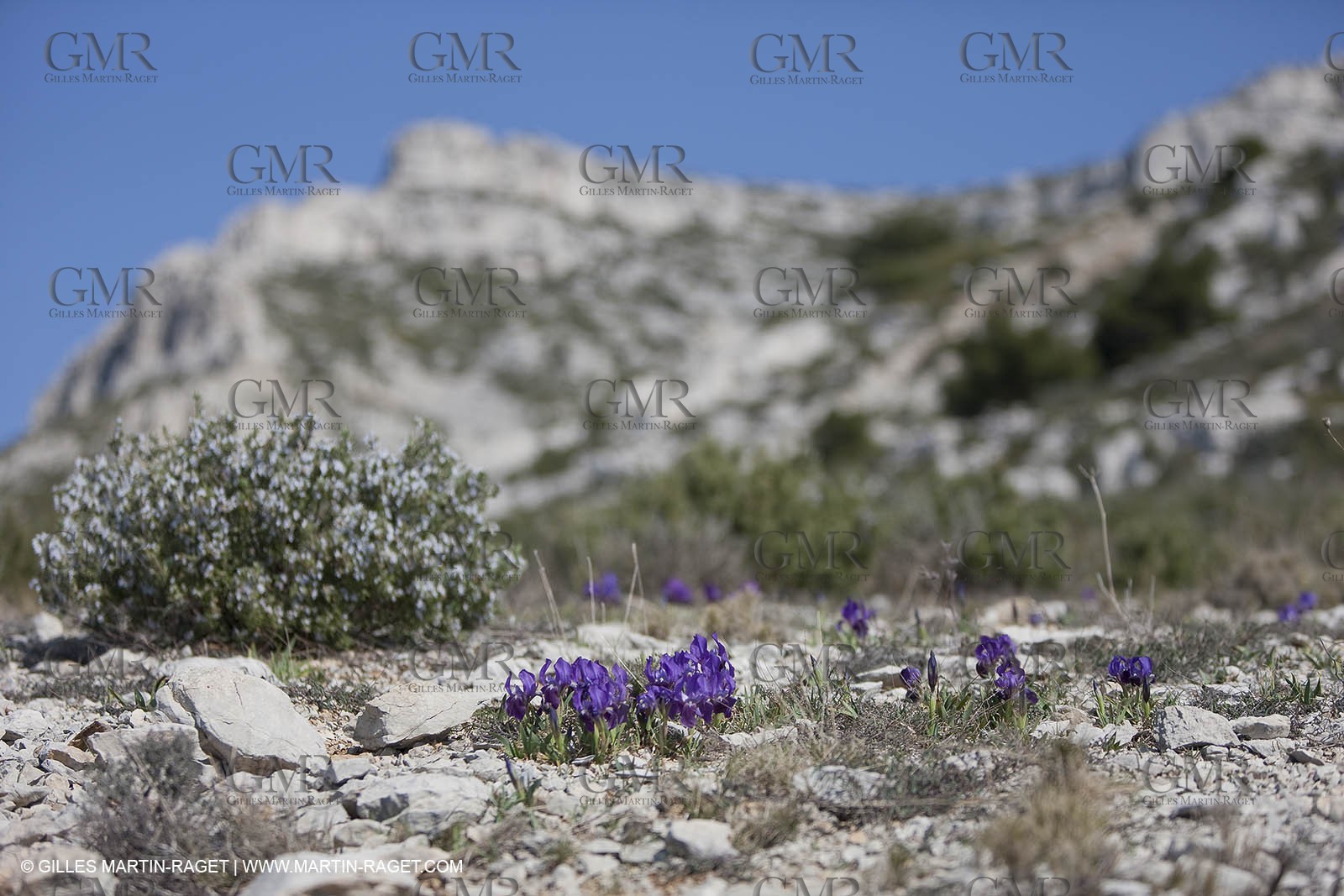 11 03 2009 - Marseille (FRA, 13) - Calanques