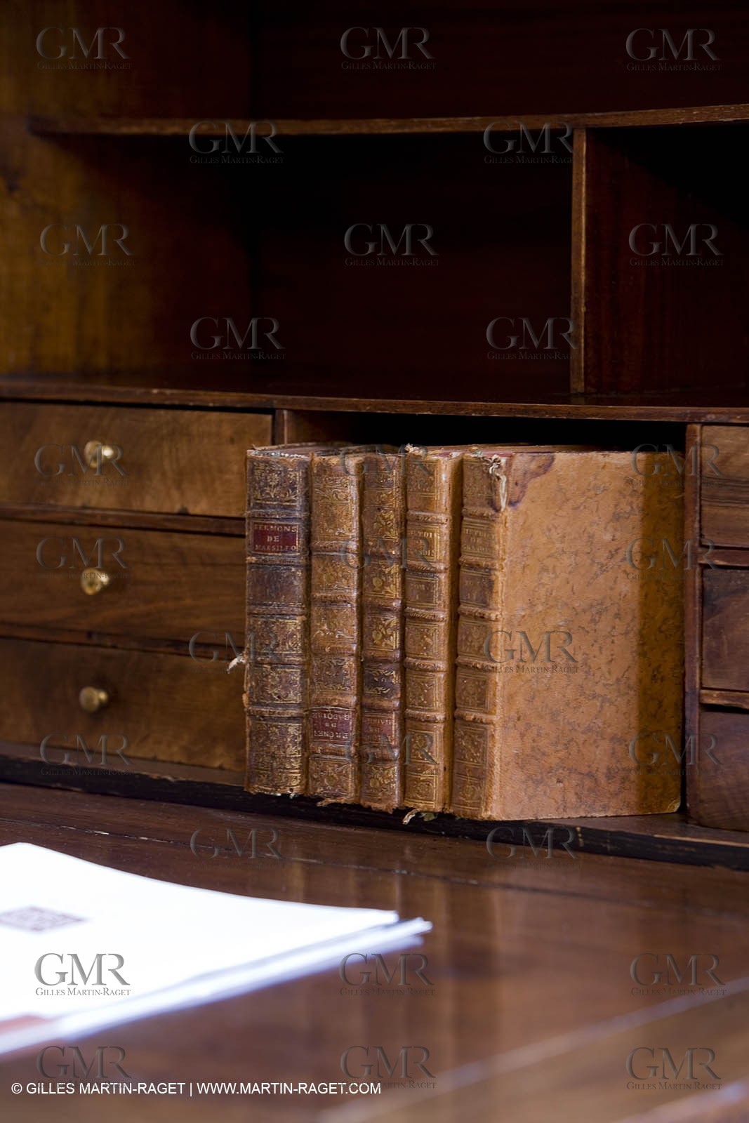 26 03 08 - Saint Rémy de Provence (FRA,13) - Chateau des Alpilles