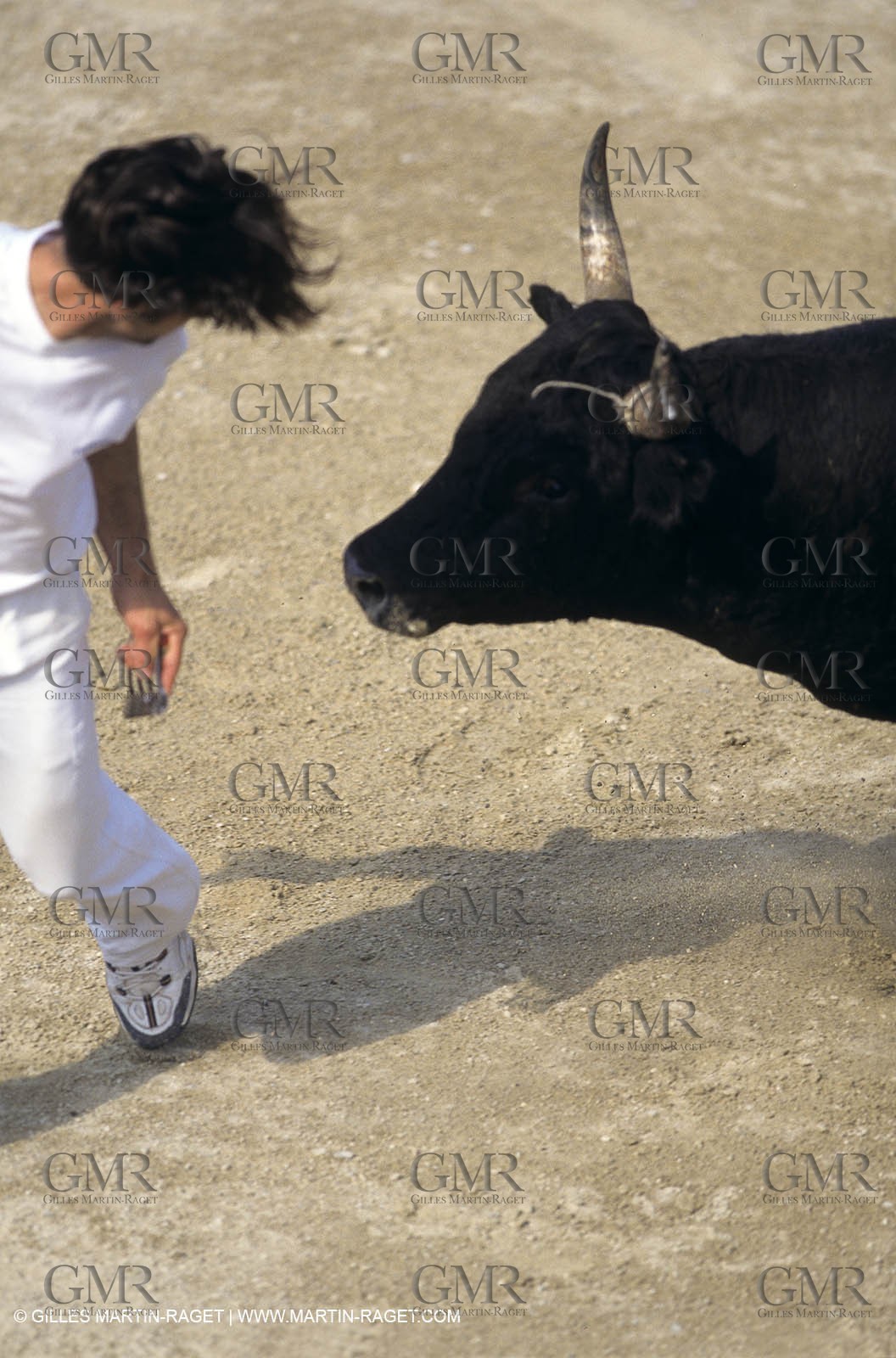 Gard, (FRA,30) - Camargue bull game