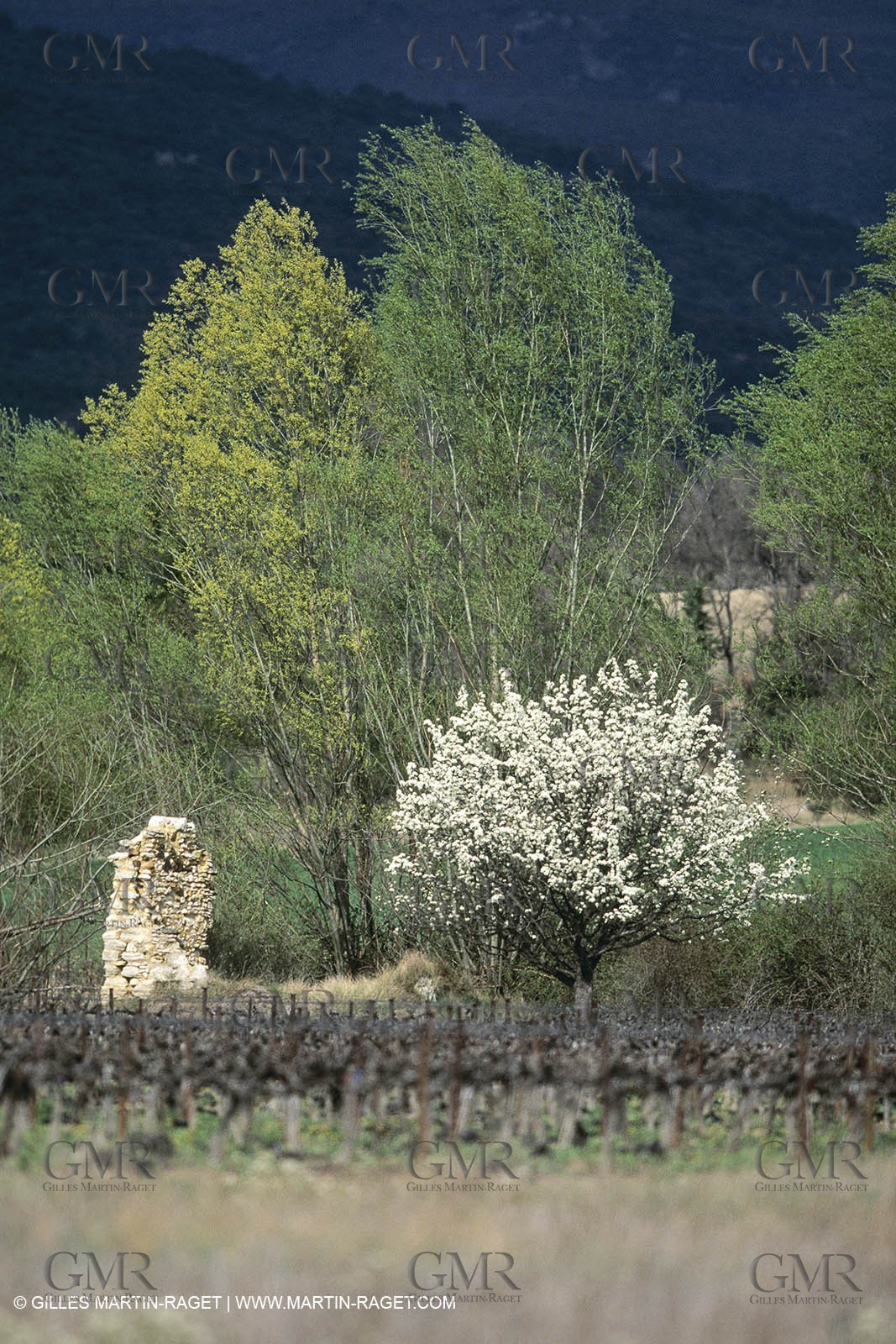 Landscapes and villages of Luberon national Park (FRA,04)