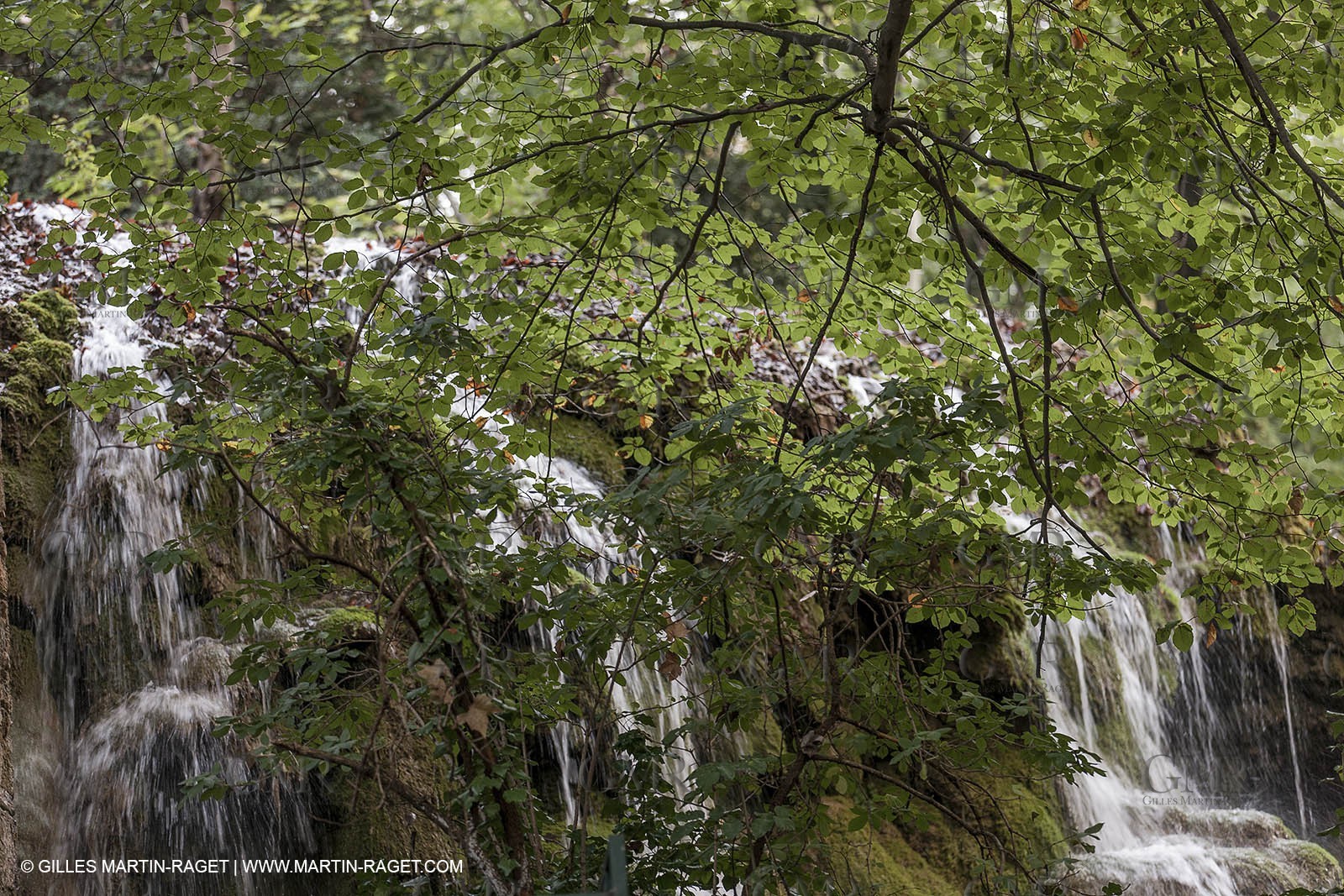 23 10 2012 - Gemenos (FRA) - Départemental Park of Saint Pons valley