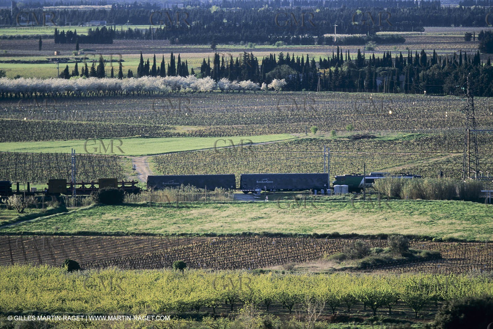 Paysages de Nîmes Métropole (FRA,30) - La Garrigue