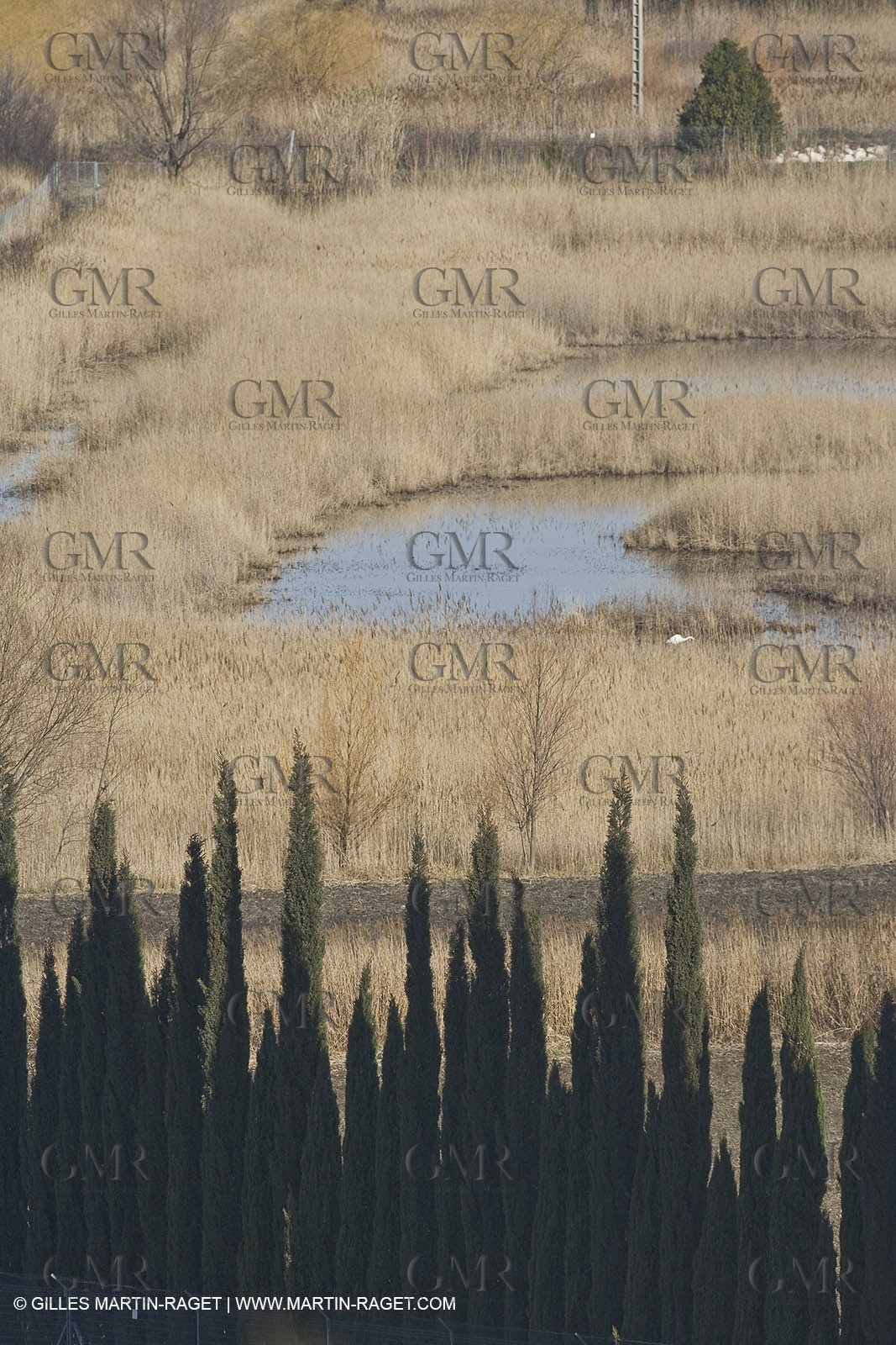 05 02 2008 - Arles (FRA, 13) - Arles surroundings landscapes