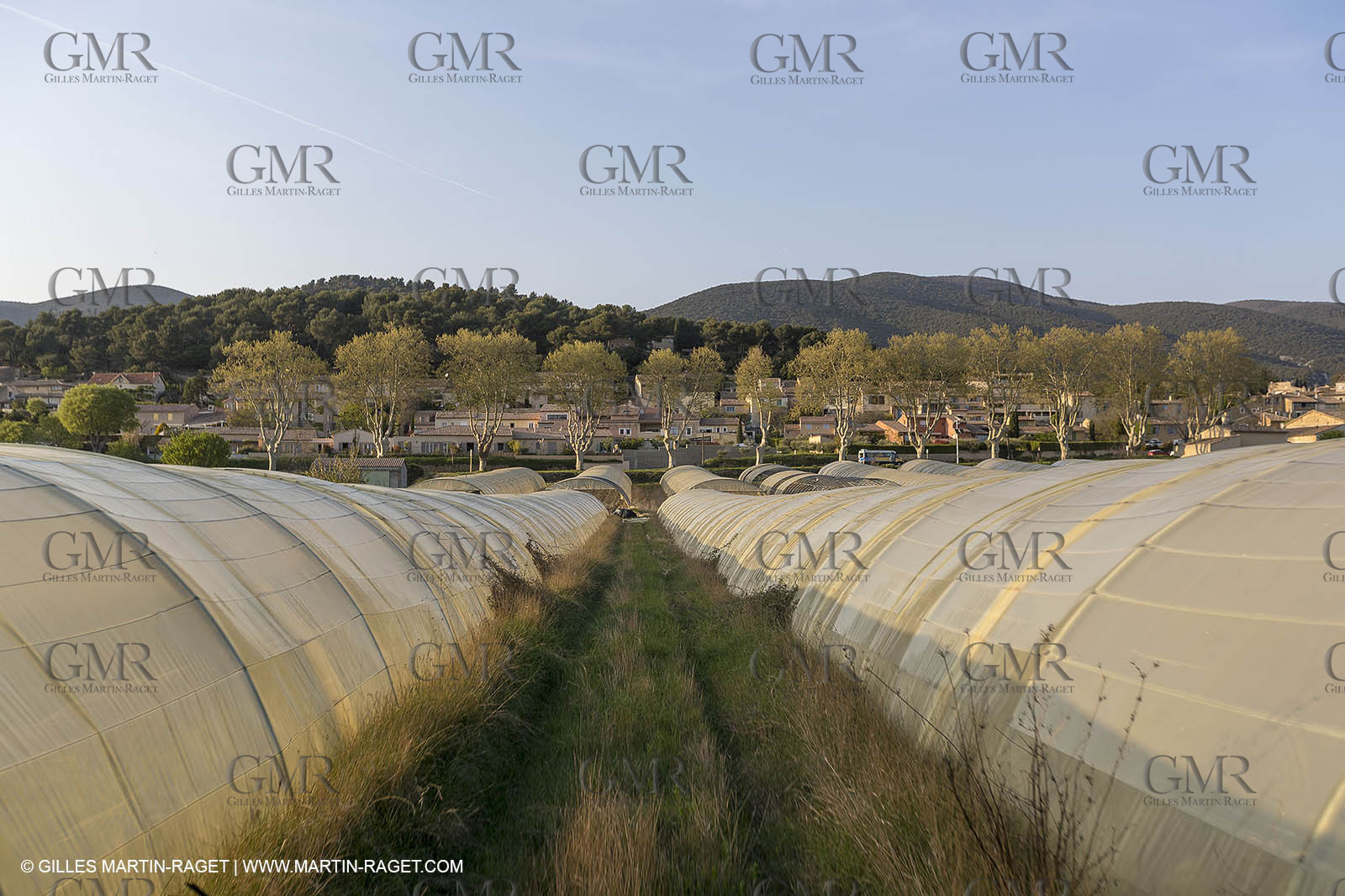 19 04 2018, Vaugines (FRA,84)