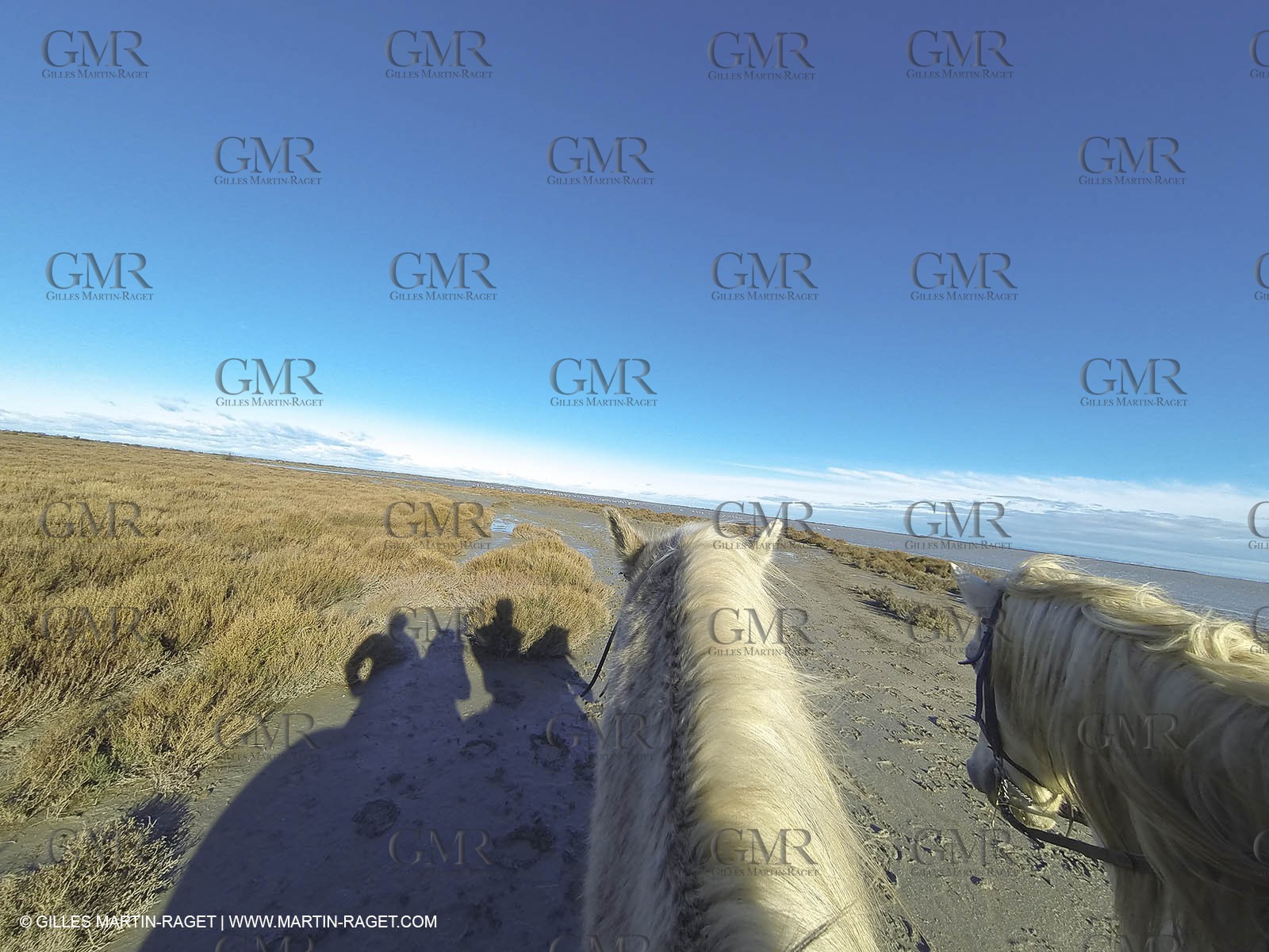 26 12 2013 - Les Saintes Maries de la Mer (FRA,13) - Horese riding at Cabanes de Cacharel