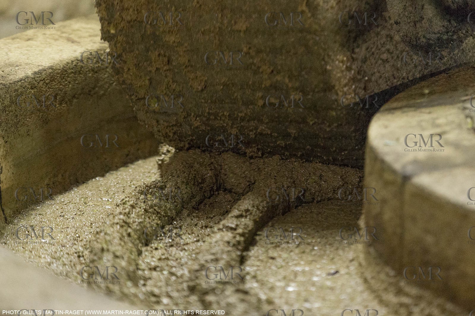 14 11 2015, Saint-Etienne du Grès (FRA,13), traditional making of olive oil at La Croix mill