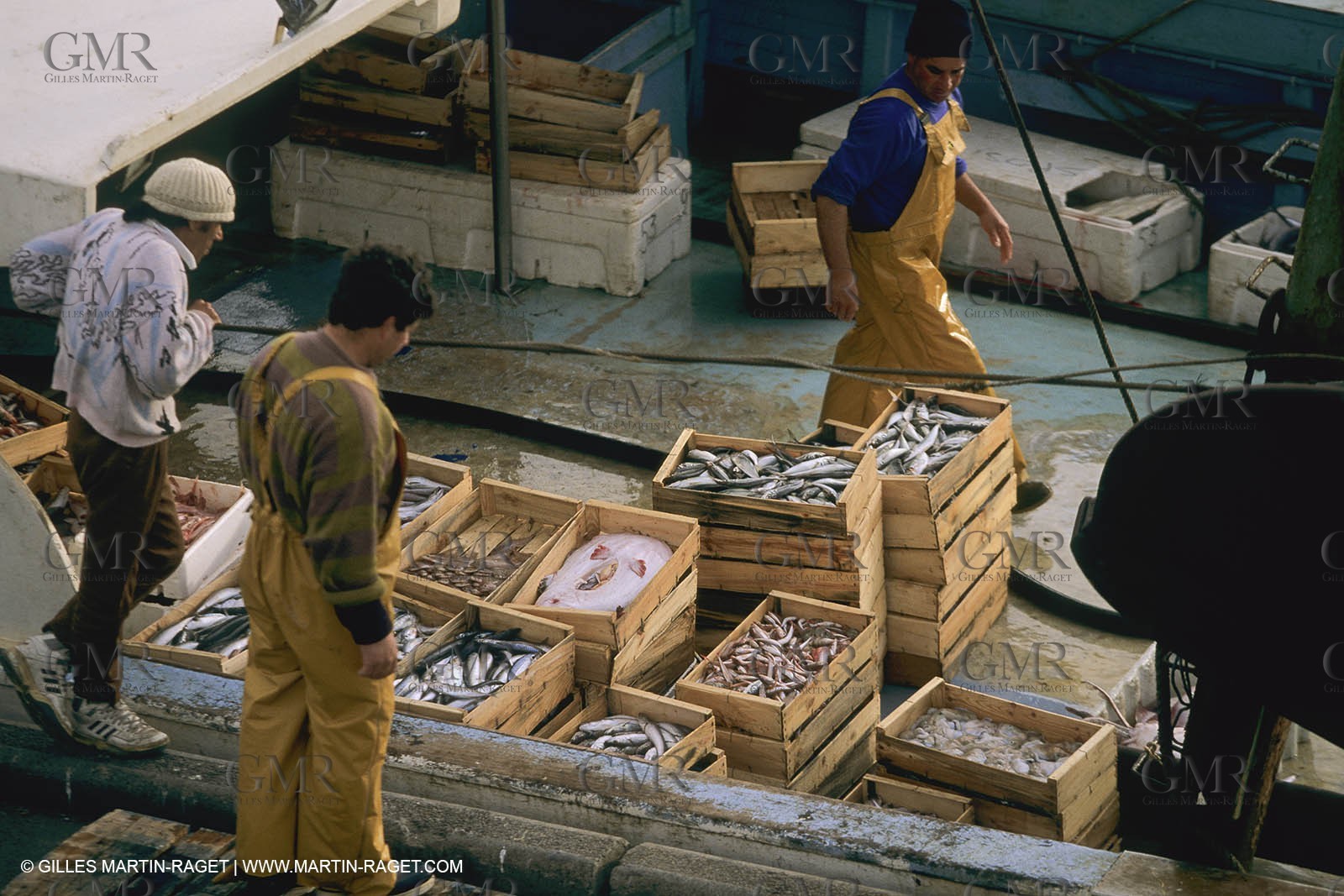 France, Provence, Pêche , Barques, pointus, pêche locale