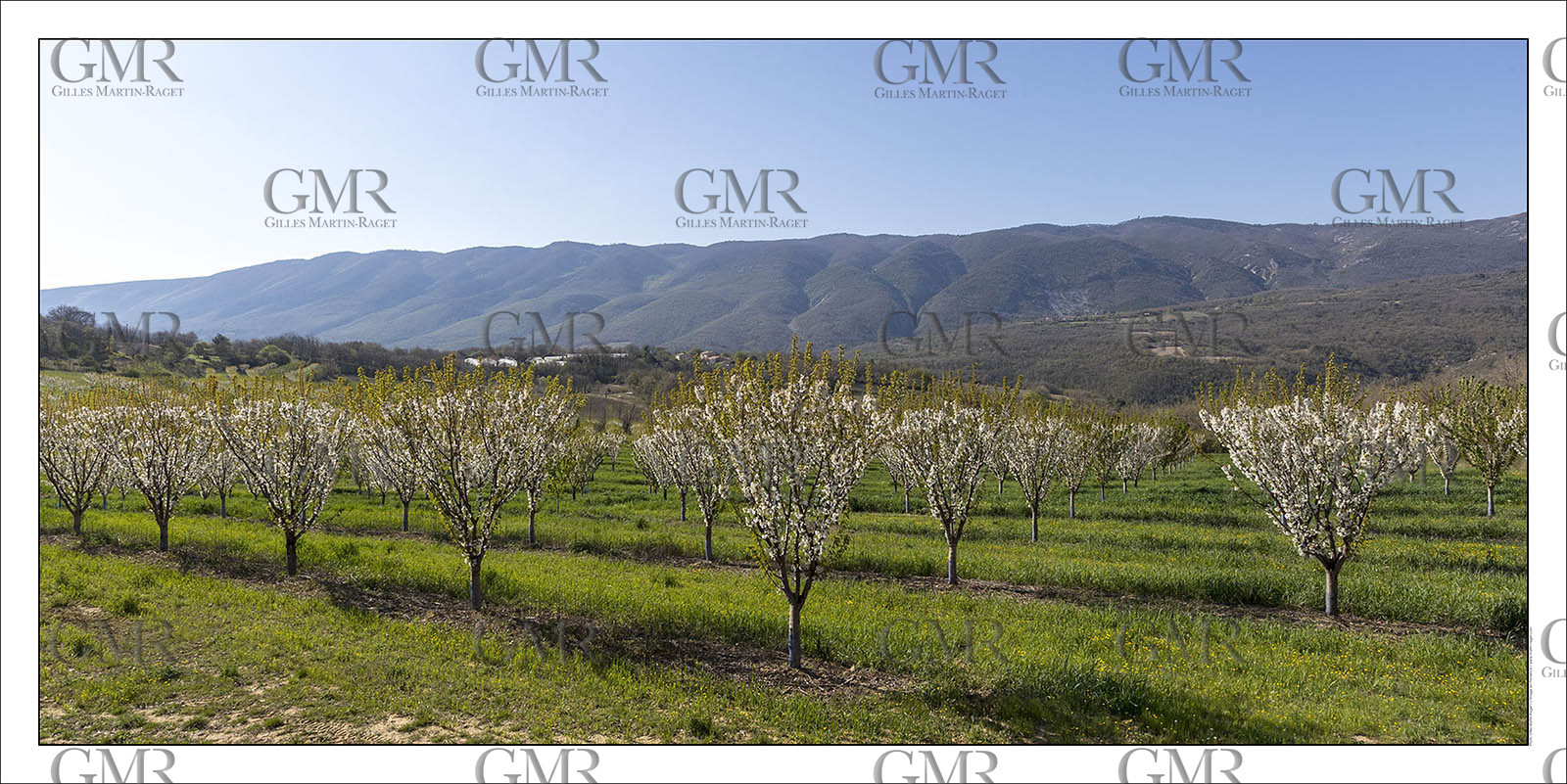 Product: in house made quality print on 8 ultrachome colors Epson ink Jet printer.Available sizes: . 50 x 100 cm. 100 x 200 cmAvailable papers: . Standard 250 gr glossy paper print, black streak, white margin, no signature. Top quality glossy 290 gr. paper, black streak, white margin, checked and signed by the author. Fine Art print (signed, numbered, stamped, registered) on demand. Other supports (Canvas, Acrylic, Metal) on demandPackaging: cylindric reinforced tubeShipping options: regular mail or Shipping companyClick on the basket icon to select your options and start the online ordering process