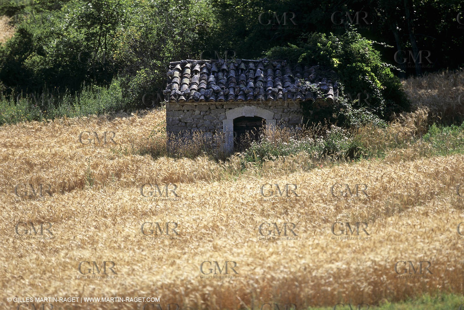 France, Provence, Paysages du Luberon, Luberon Landscapes