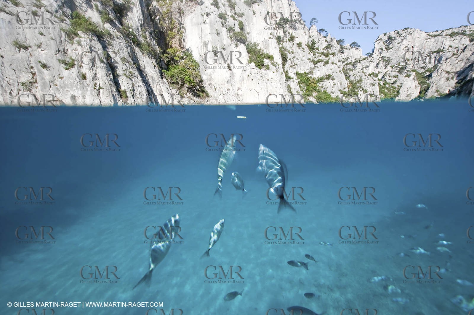 07 05 2009 - Marseille (FRA, 13) - Les Calanques - En Vau