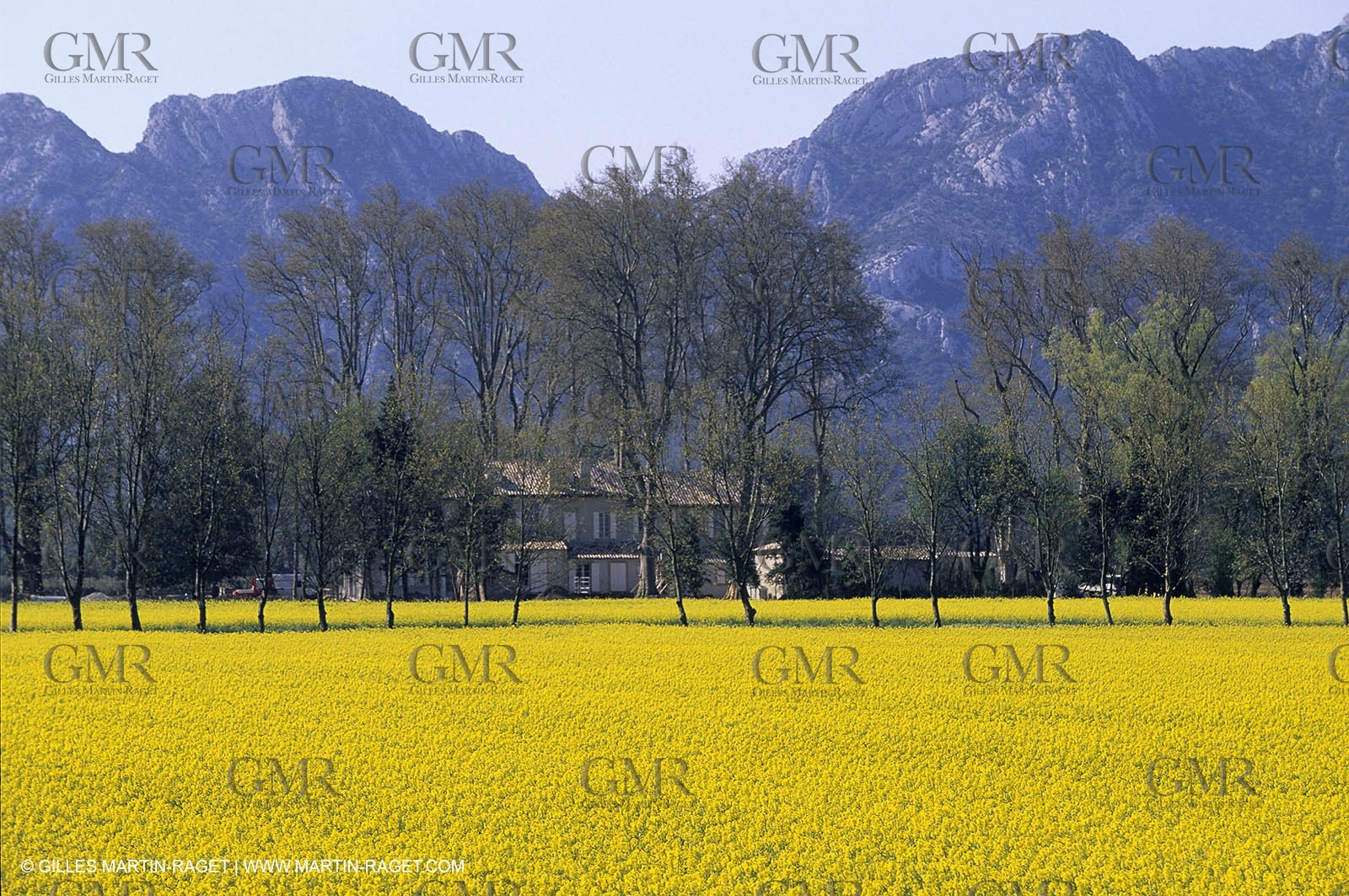 ALPILLES0026.jpg